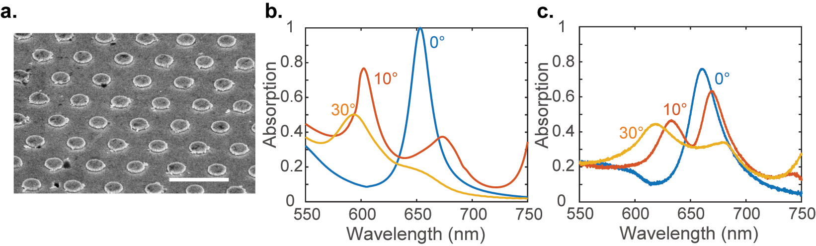 Figure 3: 
Plasmonic SLR device: (a) an SEM image of the as-plasmonic SLR structure with a period P = 700 nm. The scale bar represents 1 µm. The absorption spectra of the device for various incident angles were obtained from (b) simulations and (c) experiments.
