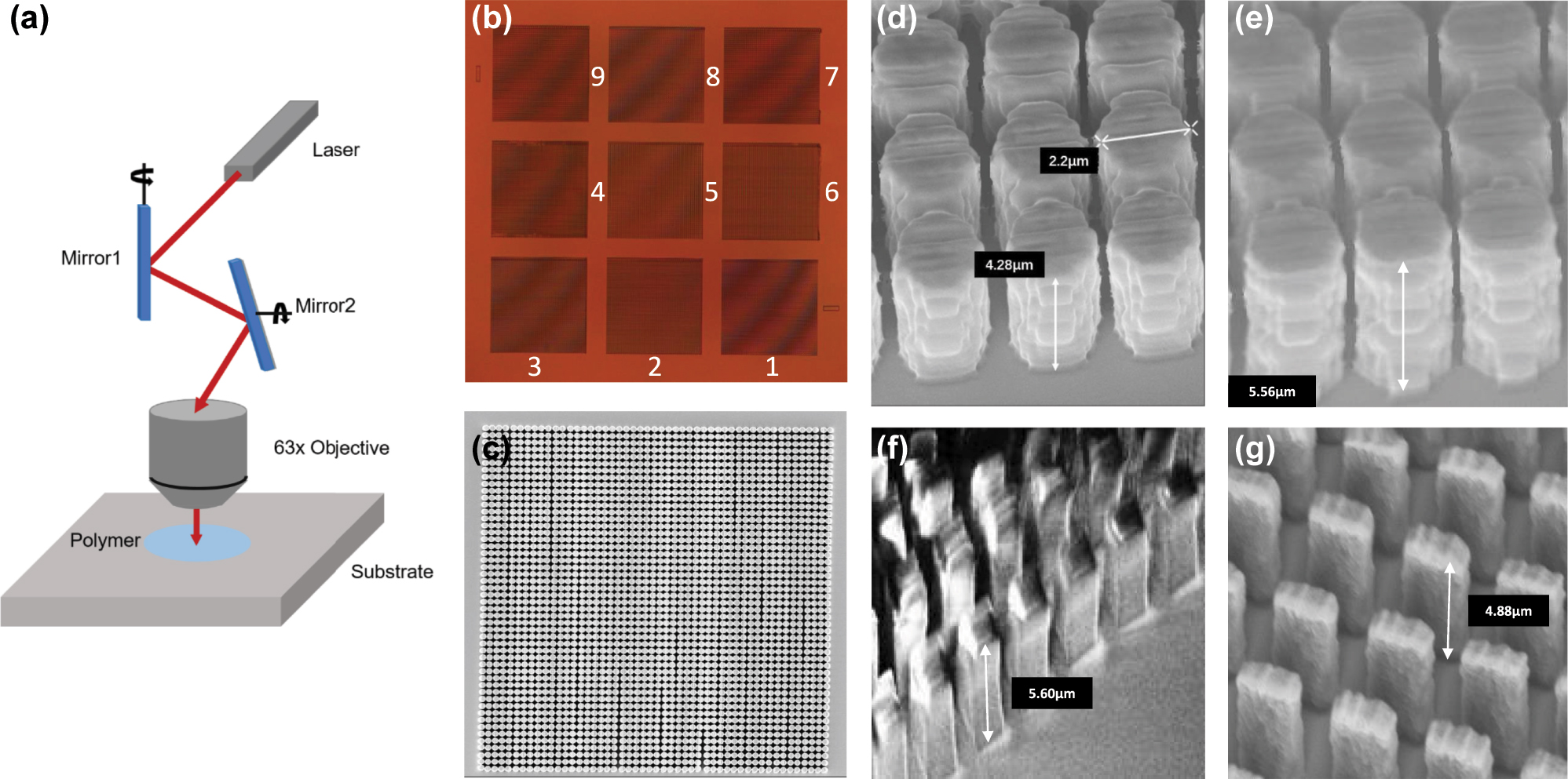 Figure 3: 
Details of fabricated metasurfaces. (a) Schematic of 2 PP fabrication technology. (b) Microscope photo of the polarization-dependent metasurface. (c) SEM image of Region I in polarization-independent metasureface (top view). (d), (e), (f), (g) SEM images of Regions A, I, IX, V in polarization-independent and -dependent metasurefaces, respectively (side view).
