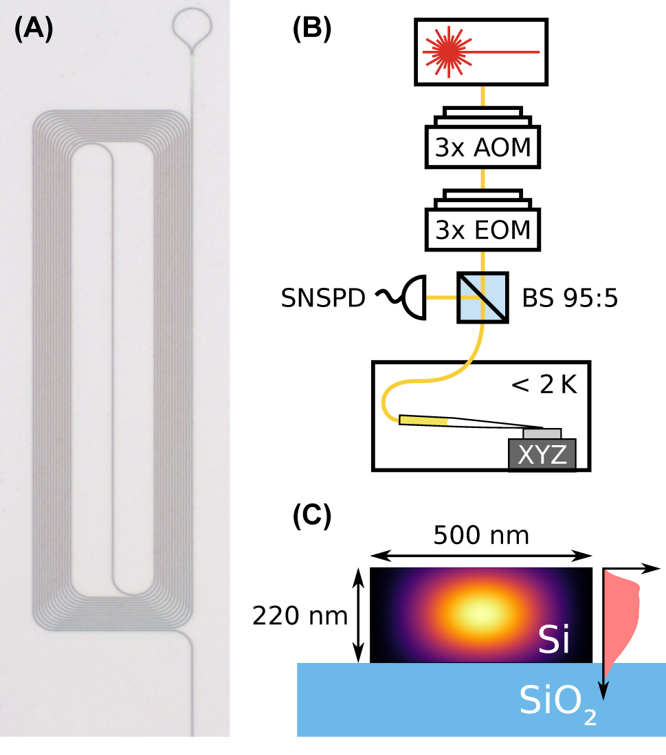 Figure 1: 
Sample and experimental setup. (A) Optical microscope image of one of the investigated structures. The waveguide is coiled up to maintain a small footprint. One end is terminated by a loop-shaped retroreflector of 10 micrometer radius (top), and the other end (not shown) is used for in- and outcoupling of light. (B) Measurement setup. A laser is used to excite the dopants. It is pulsed and frequency shifted using acousto-optical modulators (AOM). Furthermore, sidebands can be generated with three concatenated electro-optical modulators (EOM). The light is coupled into the waveguides on the chip using a tapered fiber on a nanopositioning stage in a cryostat. Before, it passes a fiber-optical 95:5 beam splitter, which attenuates the input and guides the backward-propagating light predominantly to a superconducting nanowire single photon detector (SNSPD) mounted in another cryostat. (C) Waveguide cross section. The waveguide consists of crystalline silicon (black) on top of a silicon dioxide layer (blue). It supports a single guided TE-like mode (the color gradient shows the flux density). Erbium was implanted into the waveguides at three different combinations of implantation dose and energy, resulting in an approximately homogeneous vertical erbium distribution (right side, light red).
