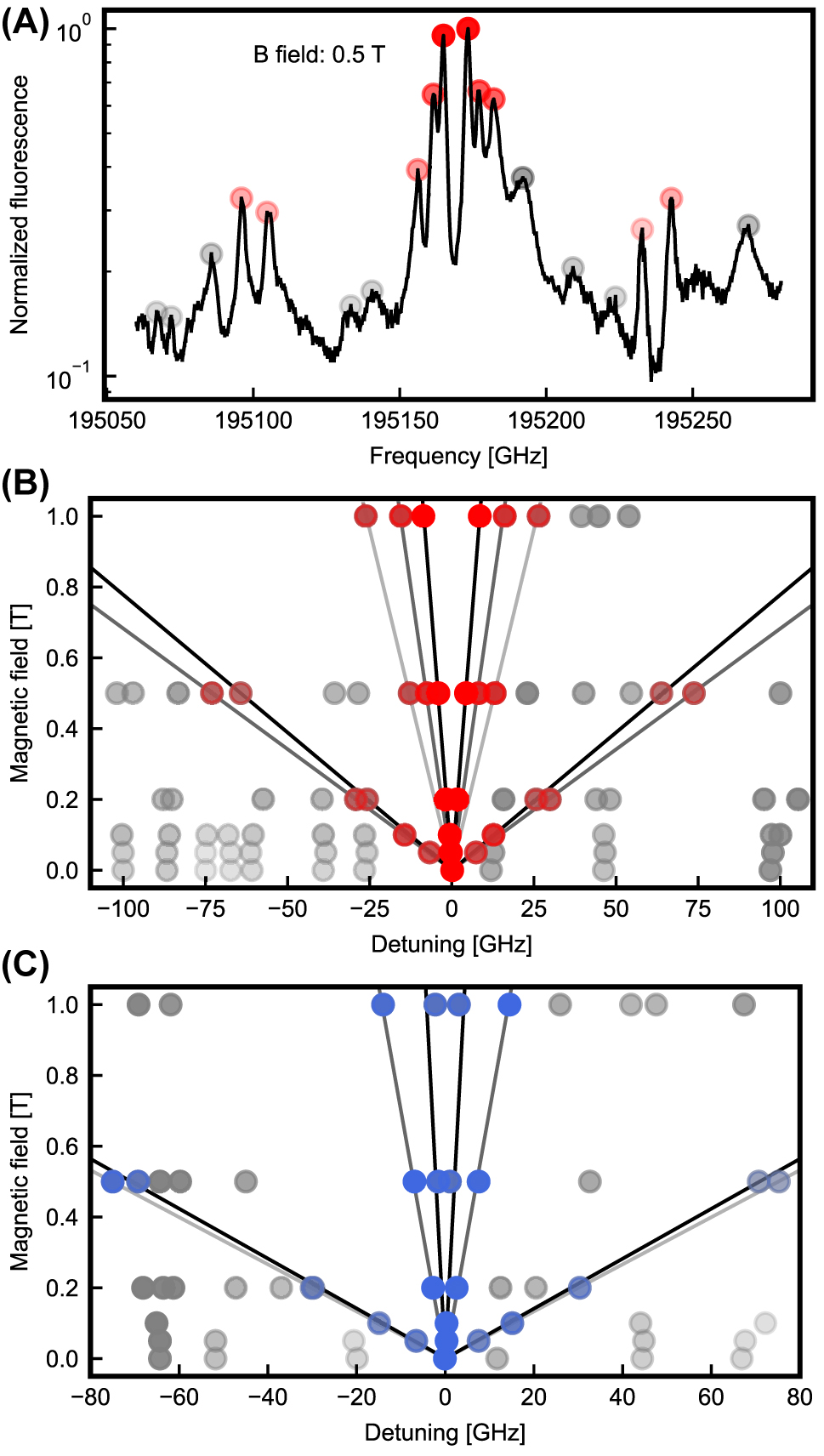 Figure 3: 
Magnetic field dependence. (A) Splitting of the fluorescence line of erbium in site B when a magnetic field of 0.5 T is applied. (B) and (C) Linear splitting (black fit lines) of the observed spin-preserving and spin-flip transitions as a function of the applied magnetic field. Only peaks that split symmetrically around the zero field peak position originate from erbium in the sites A (blue dots) and B (red dots) and are considered in the analysis, while peaks that originate from other sites (gray dots) are ignored. The transparency of the colors indicates the peak amplitude.
