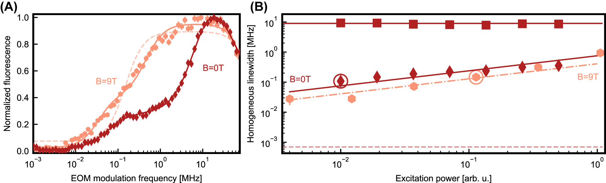 Figure 4: 
Optical coherence measurements. (A) Measurement of the fluorescence of site B after the laser excitation pulse, modulated to have 27 equidistant lines, as a function of the frequency separation between the lines. The homogeneous linewidth of the dopants can be extracted by Lorentzian fits. In the measurement at zero magnetic field (dark red diamonds), a second decoherence mechanism is present, resulting in a double Lorentzian curve (dark red line). When a magnetic field of 9 T is applied (light red hexagons), the width of the second line is reduced (solid fit curve), approaching a single, narrow homogeneous line (dashed fit curve). (B) Homogeneous linewidth, extracted from the fit curves, as a function of the excitation laser power. The measurements of panel A are marked by circles. Light red hexagon show the measurement at 9 T. The measurement at 0 T (dark red) shows a narrow (diamonds) and a broader linewidth (squares). In both cases, a reduction of the narrow line is observed down to the lowest powers that give a sufficient signal. But even there, the power broadening is too large to observe a lifetime-limited linewidth (horizontal dashed line).
