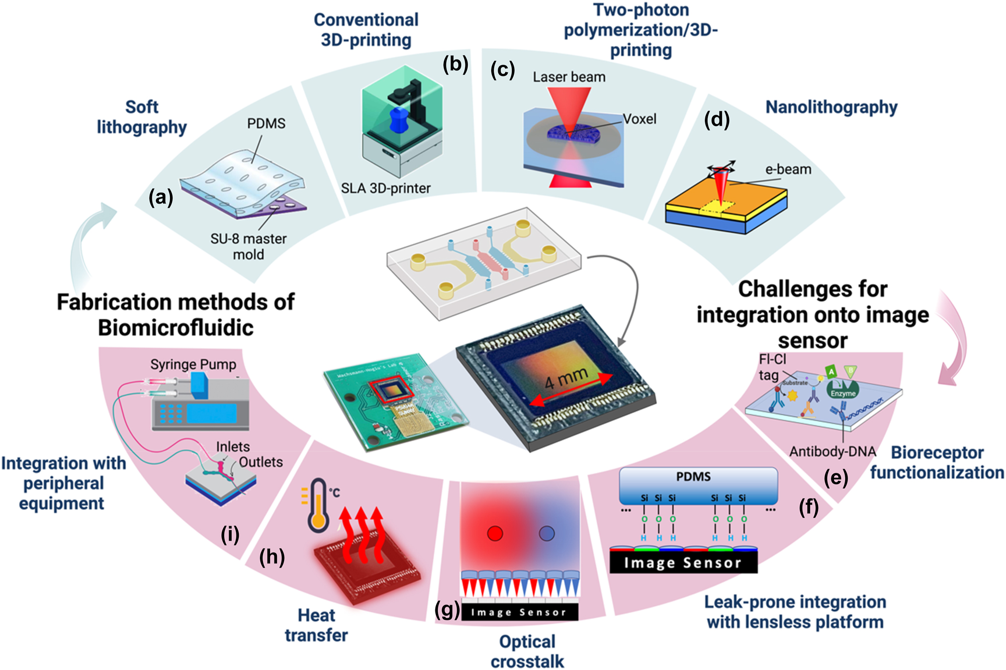 Figure 2: 
Fabrication of biomicrofluidics and integration into a lensless platform: (Top) Fabrication methods of miniaturized biomicrofluidics. (a) Soft lithography. Allows replicating the patterns of a hard substrate (e.g. silicon wafer as a mold) in a soft polymer, like PDMS (modified with permission from [69]). (b) Conventional 3D-printing. Modern desktop 3D printers can print channels well below 100 µm (down to 30 µm) in dimensions. (c) Two-photon polymerization 3D-printing. Utilizing non-linear absorption of two photons to create a smaller focal space (voxel) in a photo-polymer that can be as small as 0.2 µm. (d) Nanolithography. Employs techniques such as electron-beam and focused ion-beam, allowing it to achieve spatial resolutions as small as 10 nm and provide tight control over handling of picolitre volume of liquids. (Bottom) Challenges for integration of biomicrofluidics and image sensor. (e) Bioreceptor functionalization. The surface of the sensor needs to be first functionalized for the detection of a specific analyte of interest. (f) Leak-prone integration with lensless platforms. When integrating with lensless platforms, bonding the microfluidic chip to the imaging sensor’s surface can be challenging, as the semi-sphere microlenses on the surface create an uneven surface (g) Optical crosstalk occurs when light from the same point of the sample is detected simultaneously by different pixels. This leads to artifacts and lower image quality. (h) Heat transfer; the proximity of the sensor to the microfluidic chip significantly increases the heat transfer from the sensor to the chip (i) integration with peripheral equipment. Integration into peripheral equipment to manipulate the liquid sample.
