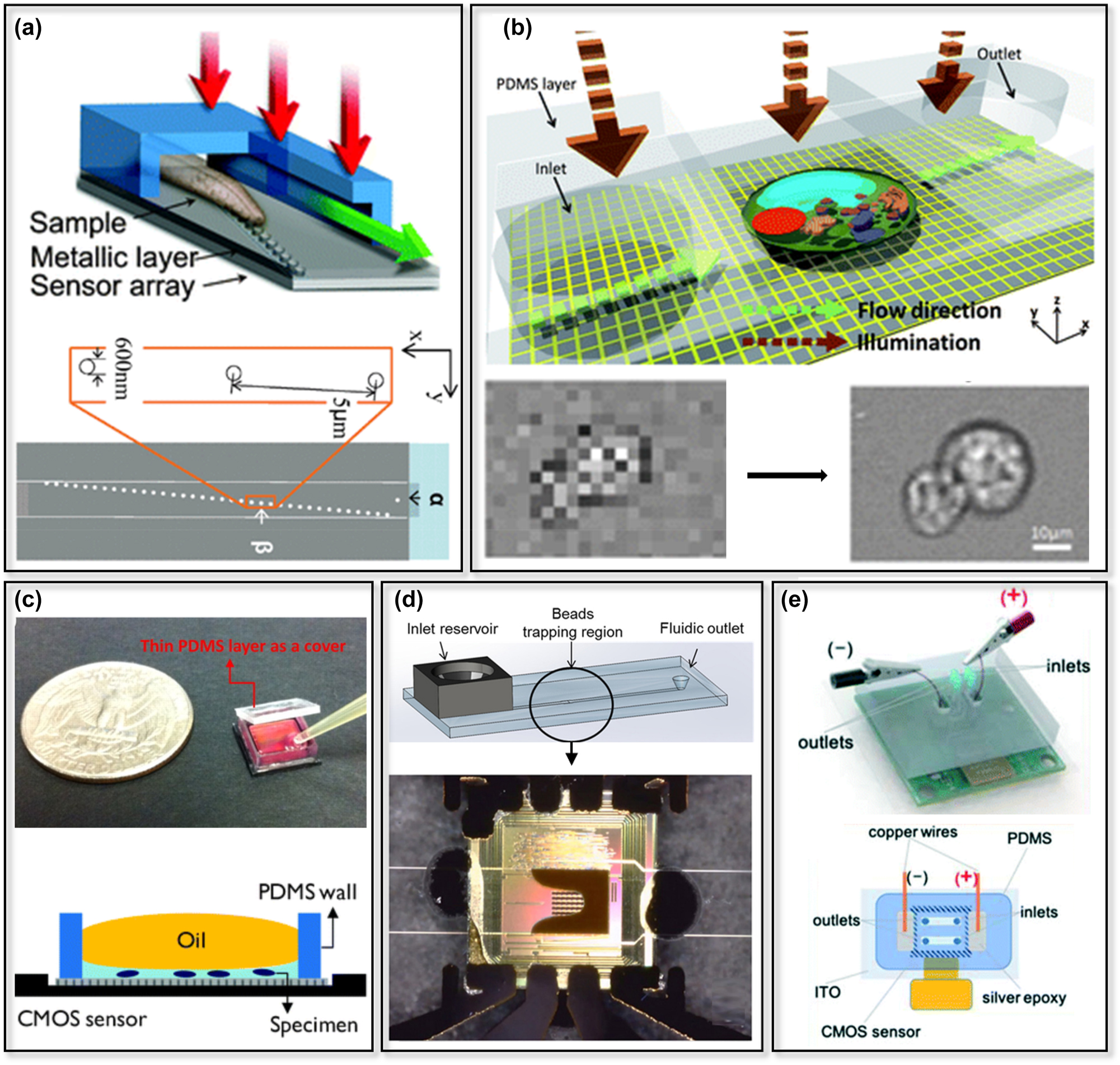 Figure 4: 
Microfluidic integrated lensless contact imaging platforms. (a) An OFM with an aluminum layer with aperture array [172]. Architecture of the OFM (top), with the red and green arrows indicating the illumination and flow direction, respectively. Top view of the OFM (bottom), with α and β denoting the isolated aperture and corresponding aperture, respectively. (b) A subpixel resolving OFM device [173]. Schematic of the device (top), low-spatial-resolution image of Entamoeba invadens cysts captured by the CMOS image sensor (bottom left), and the reconstructed image (bottom right) with higher spatial resolution. (c) The ePetri dish. An ePetri dish prototype with a PDMS layer as a cover (top) [174] and a schematic of an ePetri dish with an oil droplet on the sample (bottom) [175]. (d) A CL immunoassay on a microfluidic lensless contact imaging platform with magnetic beads trapping region above a CMOS image sensor [176]. (e) A microfluidic single-electrode ECL enzymatic sensor on a CMOS image sensor (top) and the top view of the device (bottom) [17]. Modified with permission from [17, 172–176].
