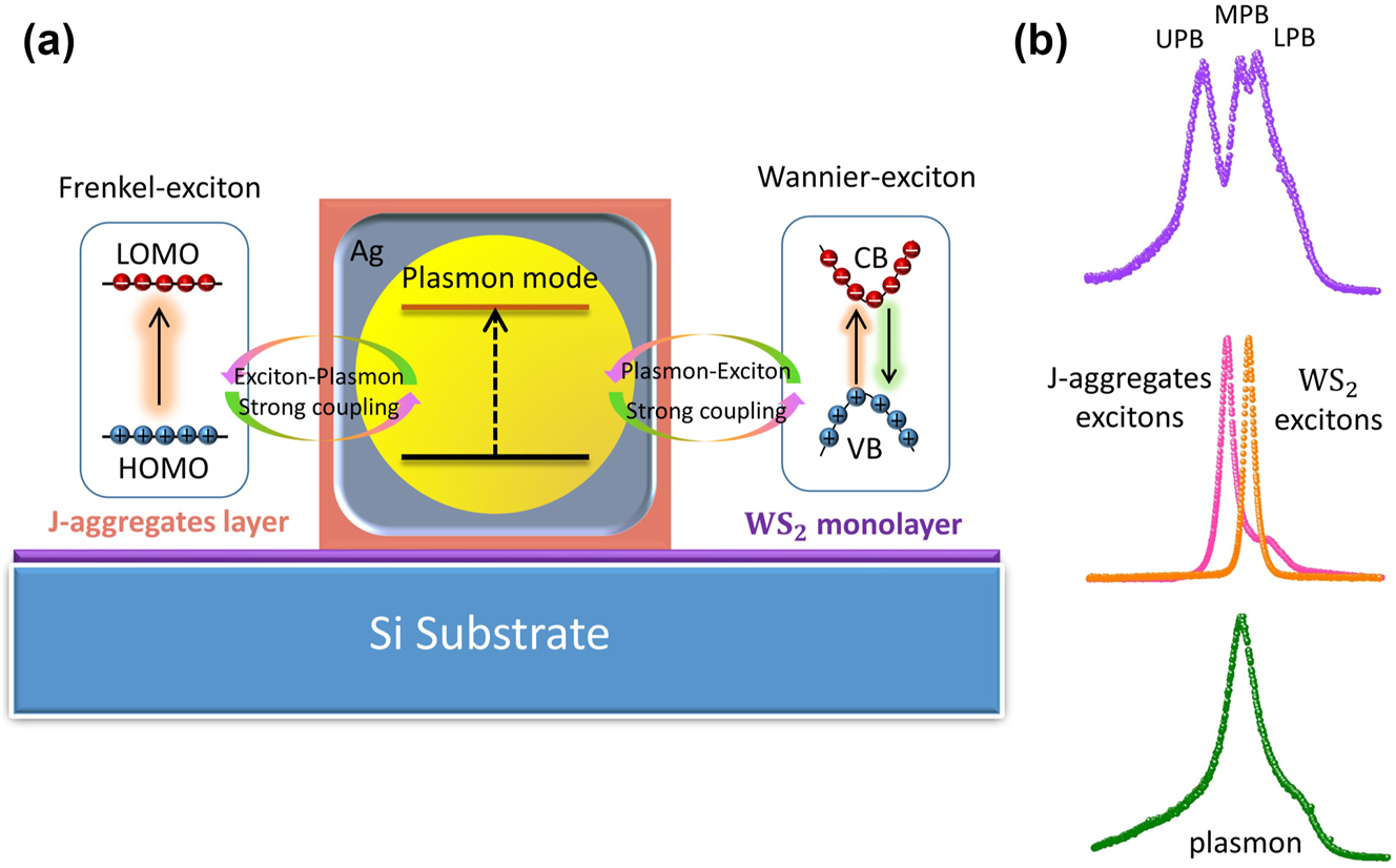 Figure 1: 
Concept of biexcitons-plasmon strong coupling between detuned excitonic materials and an individual metallic nanocavity. (a) Schematic showing a delicately designed QEs-nanoantenna structure which empowers simultaneous energy exchange with both Frenkel-excitons and Wannier-excitons. Ultimately, the newly formed biexcitons-plasmon hybrid states can possess the characteristics of both QEs. (b) Measured spectra of uncoupled components (lower) and multi-mode strong coupled nanosystem (upper) exhibit a distinct double Rabi-splitting signature.
