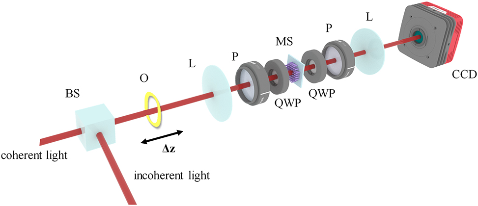 Figure 4:
Optical setup of the multifunctional metasurface system realizing edge detection and depth measurement. BS: beam splitter, O: object, L: lens, P: linear polarizer, QWP: quarter waveplate, MS: metasurface.