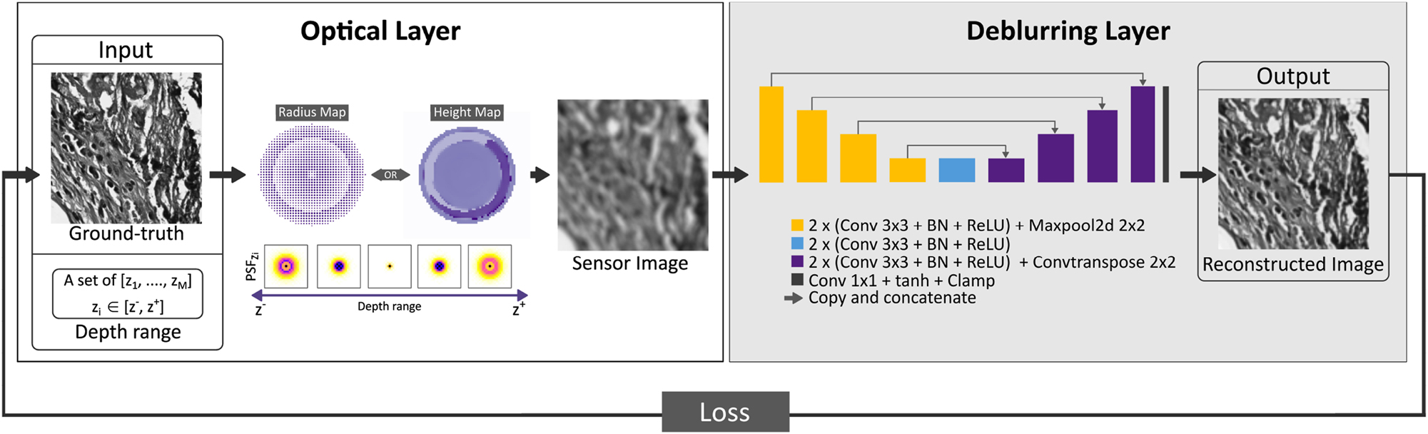 Figure 2: 
Overall representation of the end-to-end learning framework for joint optimization of the phase coding mask and the D-CNN. The end-to-end framework consists of an optical layer that simulates image formation for the learned optics, and the deblurring layer employs U-Net architecture to reconstruct in-focus images within the desired DOF range. The optical element can be realized via a metalens, parametrized by the radius map, or a DOE, parametrized by the height map. The choice of representation relies upon the maximum Δs calculated for the intended depth range.
