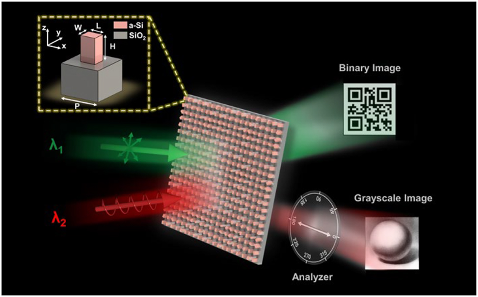 Figure 1: 
Schematic illustration of the proposed twofold optical display and encryption of binary and grayscale images based on the double-wavelength dielectric metasurface. The incident light at wavelength λ
1 will disclose a binary image. A grayscale image can be revealed only when the incident light is at wavelength λ
2 and circularly polarized, with a proper analyzer being placed behind the metasurface. The top left corner depicts the structure diagram of the unit cell containing a rectangular a-Si nanopost atop a SiO2 substrate.
