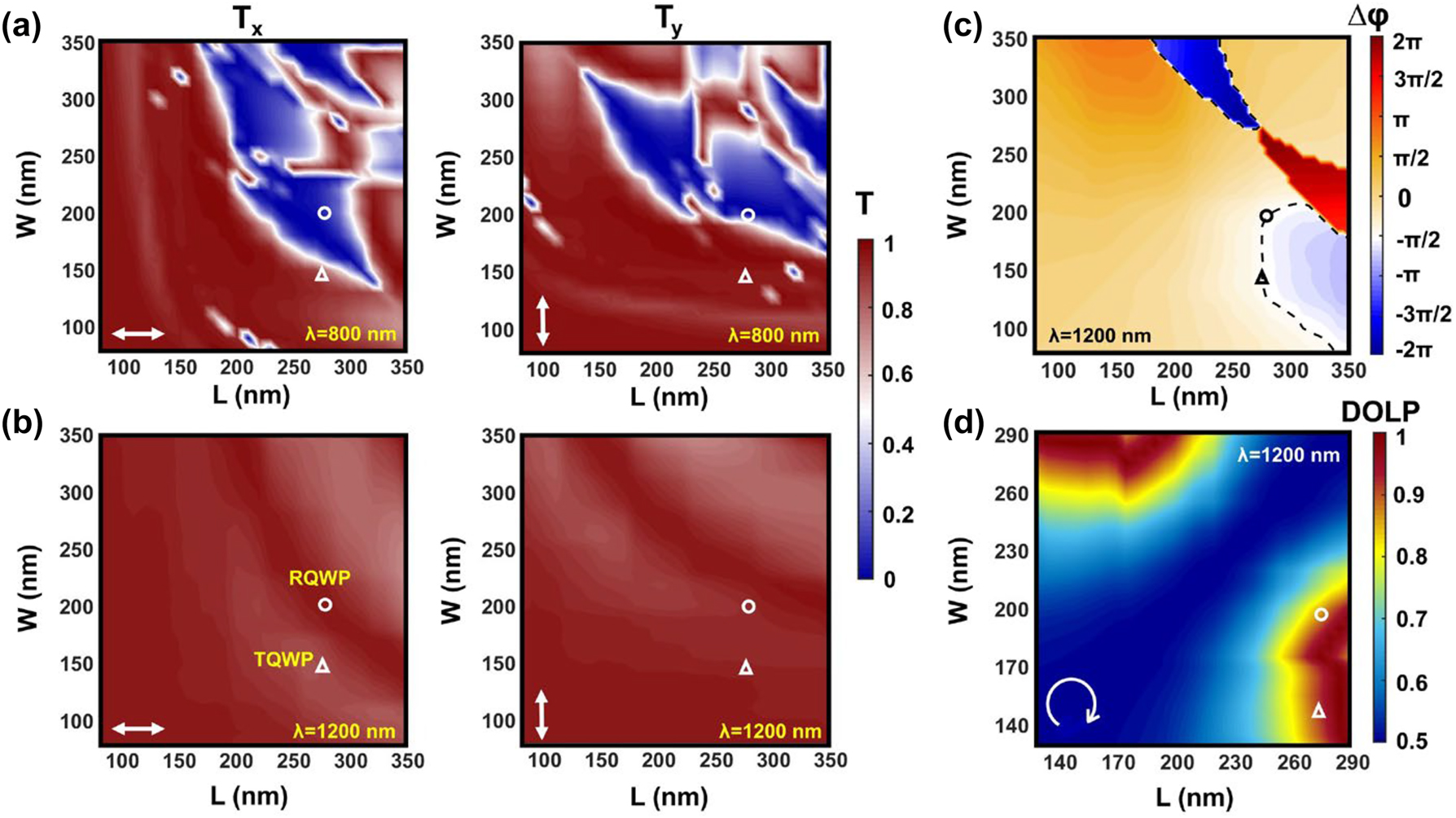 Figure 2: 
Simulated transmission as a function of the meta-atom length and width under x- and y-polarizations at wavelength (a) 800 nm and (b) 1200 nm. (c) Simulated phase difference Δφ = φ

y
 − φ

x
 at 1200 nm, where φ

x
 and φ

y
 are the phase for incident x- and y-polarizations, respectively. The black dashed line represents the contour of −π/2. (d) Simulated DOLP with respect to the length and width of meta-atom at 1200 nm.
