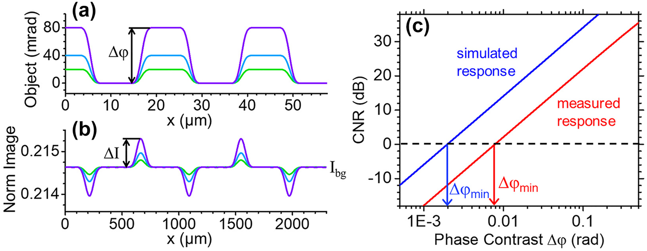 Figure 4: 
Minimum detectable phase contrast analysis. (a) Phase profiles of a one-dimensional grating for different values of the phase contrast Δφ. (b) Line cuts of the corresponding images detected by a 2D array of angle-sensitive pixels modeled using the experimental data of Figure 2(d), combined with a 40× magnification system with NA = 0.8. The horizontal-axis labels in this plot refer to the pixel-array space. (c) Contrast-to-noise ratio (CNR) versus phase contrast Δφ for the object of (a), computed using the measured (red line) and calculated (blue line) angular response maps of the devices of Figure 2. The vertical arrows indicate the minimum detectable values of Δφ, below which CNR < 1.

