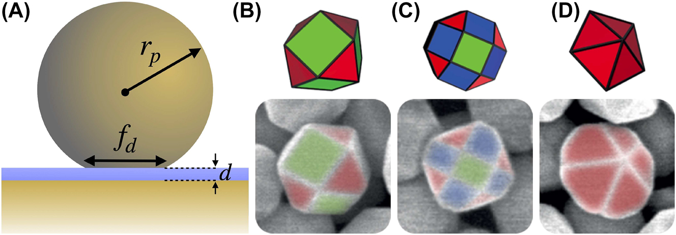 Figure 1: 
Nanoparticle on mirror configurations (A) truncated spherical nanoparticle on mirror (TSoM) schematic for a gold NP of radius r

p
 with a circular facet of diameter f

d
 assembled a distance d above a flat gold substrate, separated by a spacer of refractive index n. Polyhedral NP structures above their corresponding scanning electron microscopy images: (B) cuboctahedron, (C) rhombicuboctahedron and (D) decahedron [39]. The green, red and blue facets refer to planes of gold atom crystallization {100}, {110} and {111}, respectively.
