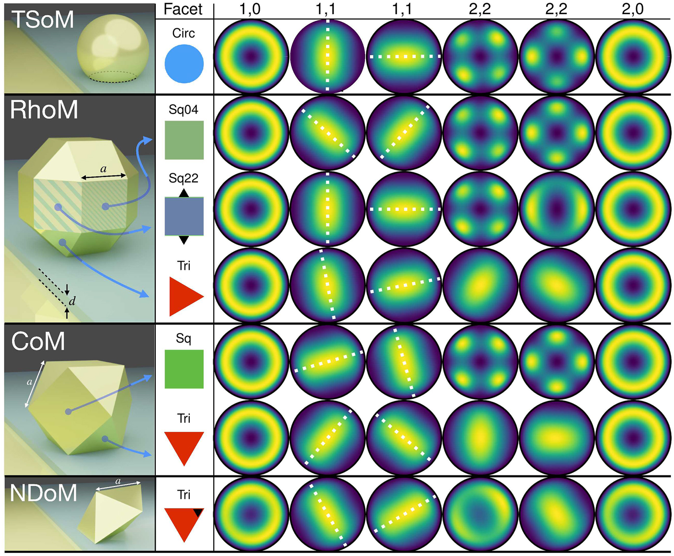 Figure 4:
Far-field emission for the QNMs of the different particle-on-mirror structures, with the facet forming the nanocavity indicated in the second column. The geometries from top to bottom: circular facet of the TSoM; two square and one triangular facets of the RhoM; singular square and triangular facets of the CoM; and the triangular facet of the NDoM. The modes from left to right: (1,0), (1,1), (1,1), (2,2), (2,2), (2,0), where the colour corresponds to the normalised time averaged Poynting flux ⟨S
lm
⟩. White dashed lines are added over the (1,1) modes to highlight the correspondence of their direction and orthogonality with their near-field counterparts (i.e. normal to each other).