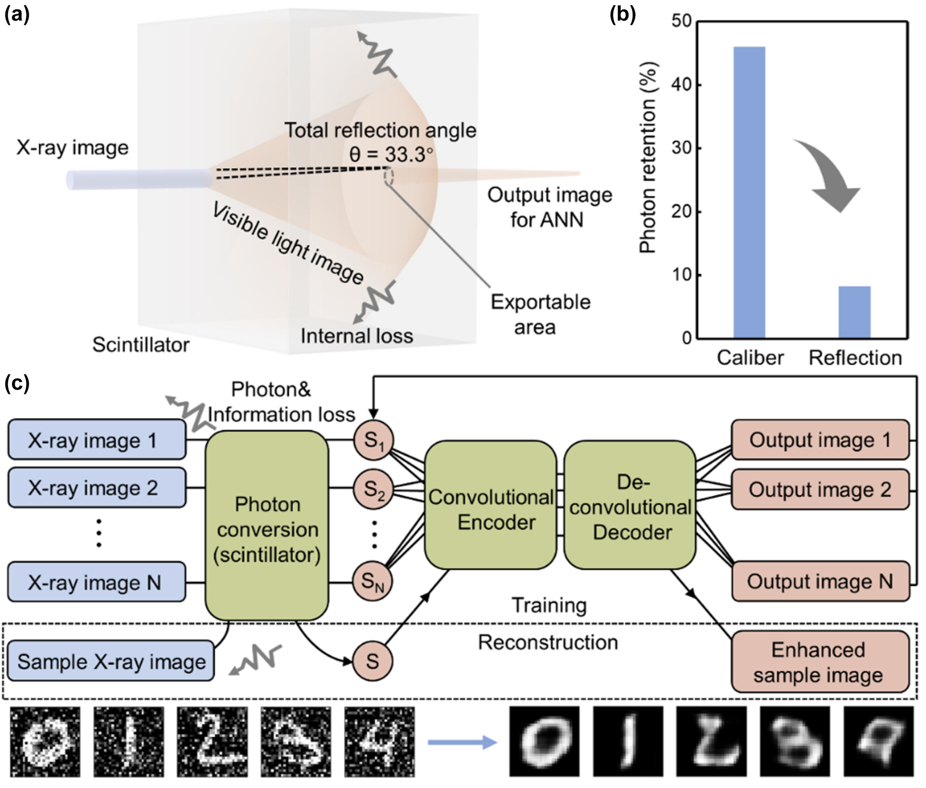 Figure 1: 
Typical separated X-ray imaging/postprocessing process. (a) The photon conversion process that occurs in the scintillator. Internal reflection caused by high refractive index. Total reflection angle is calculated based on Ce:YAG. (b) The photon retention caused by the scintillator size (caliber) and the refractive index (reflection). (c) Schematics of typical indirect X-ray imaging process with CAE postprocessing. The color of blue shows the realization in the optical process, and red shows realization in the electronic network. The dashed box shows the training process and reconstruction process. Inset: The input images contain noise (left), and the output images generated from the classic electronic CAE (right) after 800 epochs of training.
