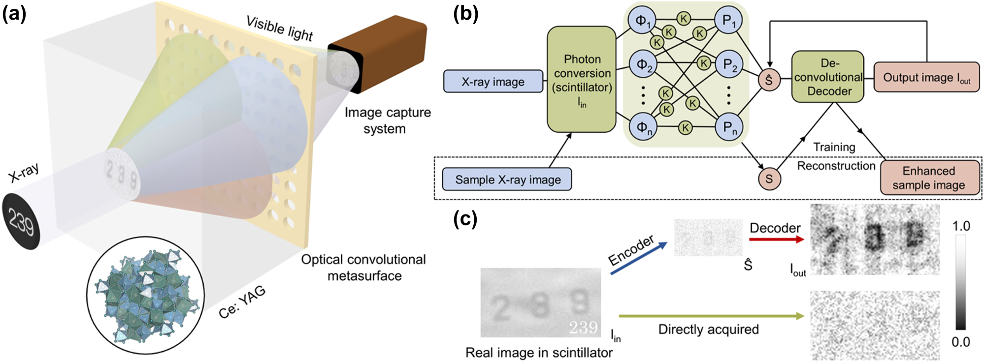 Figure 2: 
Illustration of the fused CAE. (a) Schematic illustration of the optical setup. The X-ray with image information is converted into a visible light image in the scintillator, then interacts with the optical convolutional metasurface and the resulting image is projected onto the image capture system. The color is only used to symbolize the presence of different wavefront components in the input image and does not represent the actual color of light (such as red, green, and blue) (see Supplementary Note 2 for details). (b) Schematics of the CAE framework. The color of blue indicates realization in the optical process, and red indicates realization in the electronic network. (c) Typical fused CAE results. I
in on the left is an image obtained with a long exposure time, which refers to the actual image in the scintillator and cannot actually be obtained under the same measurement time and test conditions as the images on the right. The upper route shows our proposed fused CAE, and the upper right is a typical fused CAE reconstructed image. The bottom route shows the normal X-ray imaging process and the obtained low-quality image (bottom right).
