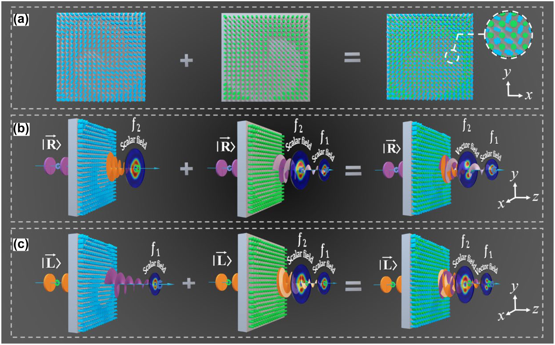 Figure 1: 
The metasurface with dual channel for longitudinal manipulation of the optical polarization. (a) The arrangement of the two structures on the metasurface, where the first column represents the spin-decoupled unit that controls the cross-polarization component, and the second column represents the isotropic structure that controls the co-polarization component. (b) and (c) The function of the device in left-handed (right-handed) circularly polarized incidence, achieving the switching from vector to scalar (scalar to vector) beam.
