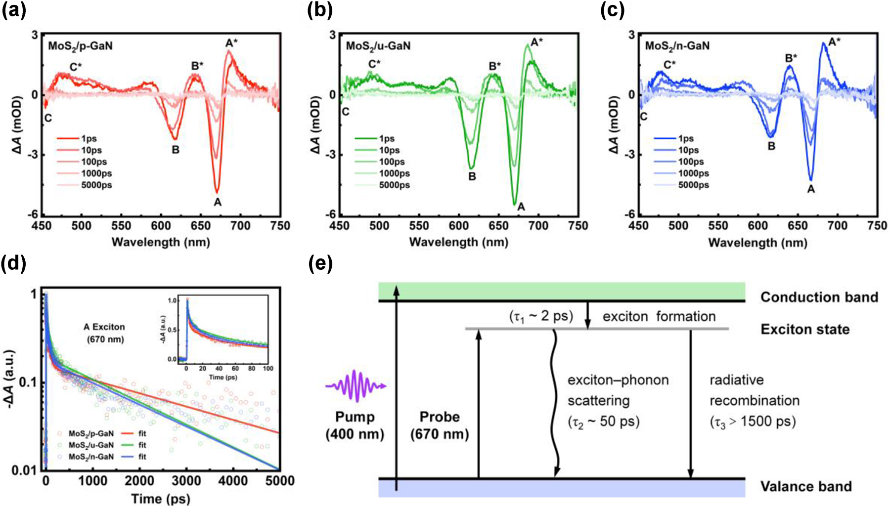 Figure 5:
Effect of the differently doped GaN on the exciton dynamics of monolayer MoS2. (a–c) Transient absorption spectra of the monolayer MoS2 on p-GaN (a), u-GaN (b) and n-GaN (c) at different delay times, respectively, under excitations with fixed pump density of 100 μJ/cm2. (d) The kinetics traces of the A exciton state extracted from the TA results of samples with three doping types. The inset is a zoom-in view of the early 100 ps. The open circles are experimental data, the solid lines are the exponential fitting described in the main text, with consideration of the instrument response function (∼100 fs). (e) Schematic of the exciton dynamics in monolayer MoS2 on GaN.