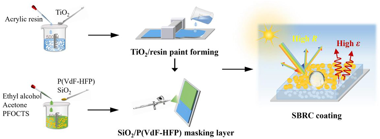 Figure 1: 
Schematic illustration of the fabrication process of SBRC coating.
