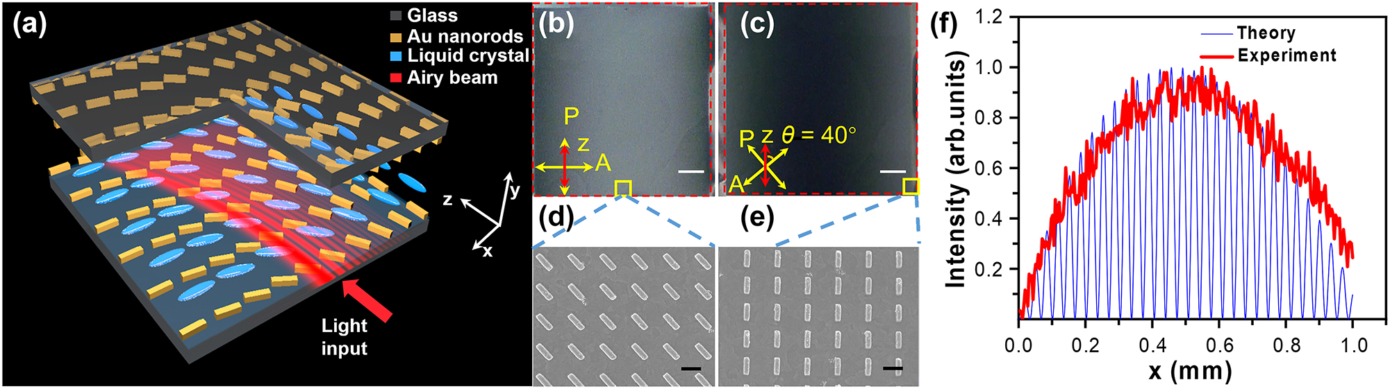 Figure 3:
Design and characterization of the optical linear potential. (a) Schematic diagram of the LC cell with gradient LC alignment enabled by the metasurface. The red arrow indicates the propagation direction of the Airy beam. (b, c) POM images of the LC cell with the GRI under different polarization configurations, (b) θ = 0○ and (c) θ = 40○, where θ is the angle between the optical axis of polarizer P and the z-axis. (d, e) SEM images in the middle (d) and at the edge (e) of the fabricated metasurface labeled as yellow squares in (b & c). (f) Theoretically calculated (blue curve) and experimentally measured (red curve) transmission intensity distributions of the LC cell under the POM. P and A in (b & c) represent the optical axes of the polarizer and analyzer in the POM, respectively. Scale bar: 0.2 mm in (b & c) and 600 nm in (d & e).