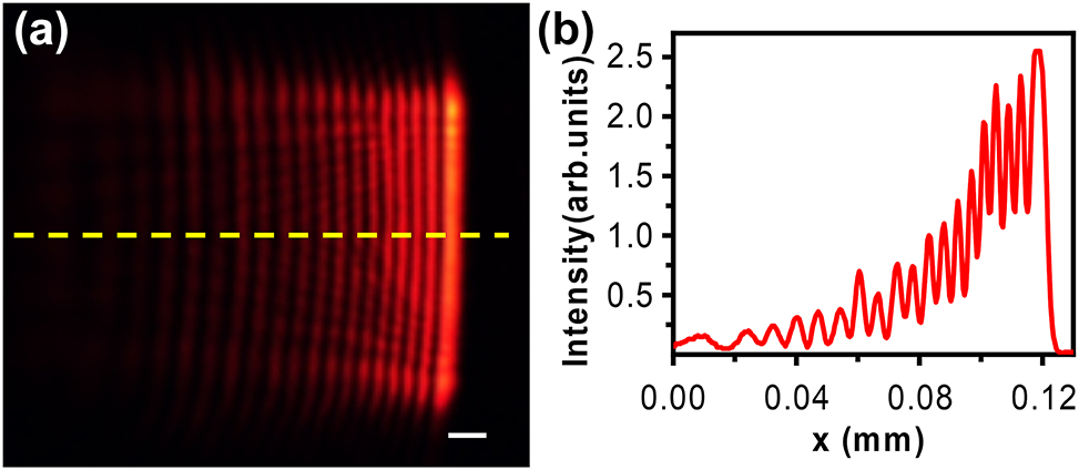 Figure 6:
The field distribution in the x–y plane of Airy beams (a) and the intensity profile (b) along the line labeled in (a). Scale bar: 0.01 mm.