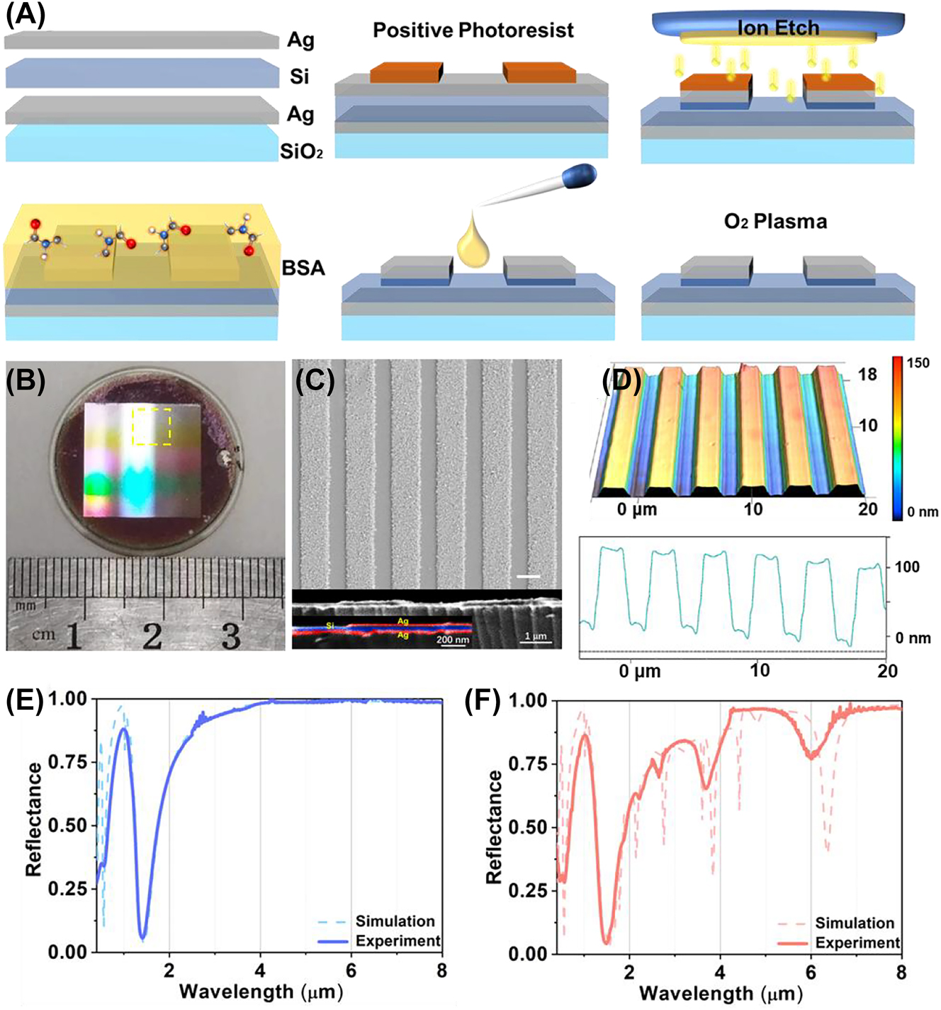 Figure 5:
The optical characterization of metasurfaces. (A) Schematic of the fabrication process. (B) The photograph of metasurface sample with diameter of 2.5 cm in visible light. (C) The top view and cutaway of metasurface with SEM. (D) the metasurface morphology of confocal microscope, the vertical structure shown in the diagram is 10 times larger than its original size. The full spectral range spectrum under S (E) and P (F) polarization from 0.36 μm to 8.0 μm with 6° incidence.