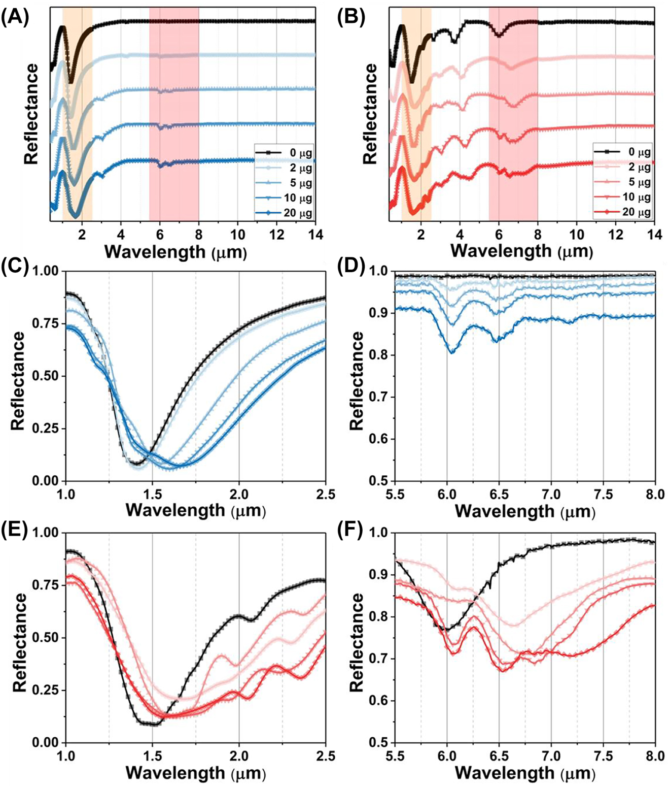 Figure 6:
The cooperative RI and SEIRA protein sensing for BSA. (A) The broadband spectrum under S polarization. (B) The broadband spectrum under P polarization. (C) The RI sensing for BSA with the S polarization. (D) The infrared spectra for BSA under the S polarization. (E) The RI sensing for BSA with the P polarization. (F) The SEIRA sensing for BSA with the P polarization.