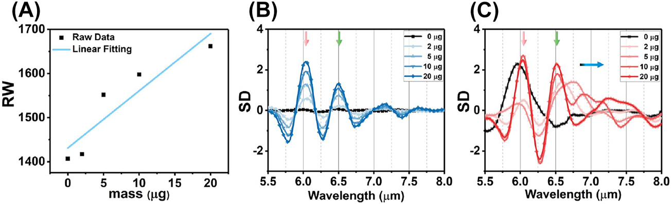 Figure 7:
The analyses of reflection spectra with BSA coating. (A) The RI sensitivity in near infrared under S polarization defined by the linear fitting between RW and BSA mass. (B) The SD of reflection spectrum with S polarization in mid infrared. (C) The SD of reflection spectrum with P polarization in mid infrared.