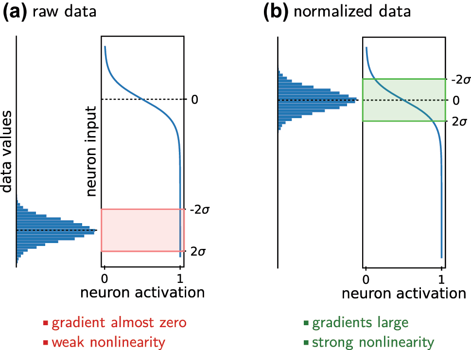 Figure 6:
Normalizing the data is important. (a) Large numerical values do not exploit the non-linearity of typical neuron activation functions. In case of specific activations like Sigmoid or tanh, furthermore the gradients of the neuron output are very small. Both situations are unfavorable for network training. (b) The numerical values of normalized data cover the full range of an artificial neuron’s non-linearity. Also the neuron gradients are large for all typically used activation functions. This significantly helps the learning process. On non-normalized data, during training first the neuron biases need to be optimized which consumes unnecessary computation. The same argument explains why batch normalization is so effective.