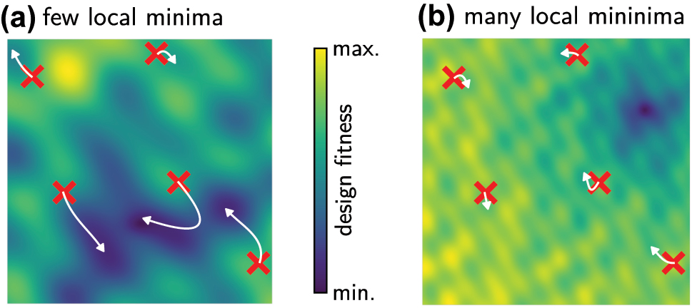Figure 12:
Schematic fitness landscapes of (a) a friendly problem with relatively few local extrema. (b) A complicate problem with many local fitness minima. Using gradient based methods with a large number of initial test-sets, problem (a) will likely converge to the global optimum. In problem (b) on the contrary, the chance is high that none of the initial designs is close enough to the global optimum, and optimization will converge to a local solution. The paths taken by a gradient-based method path are indicated by white arrows.