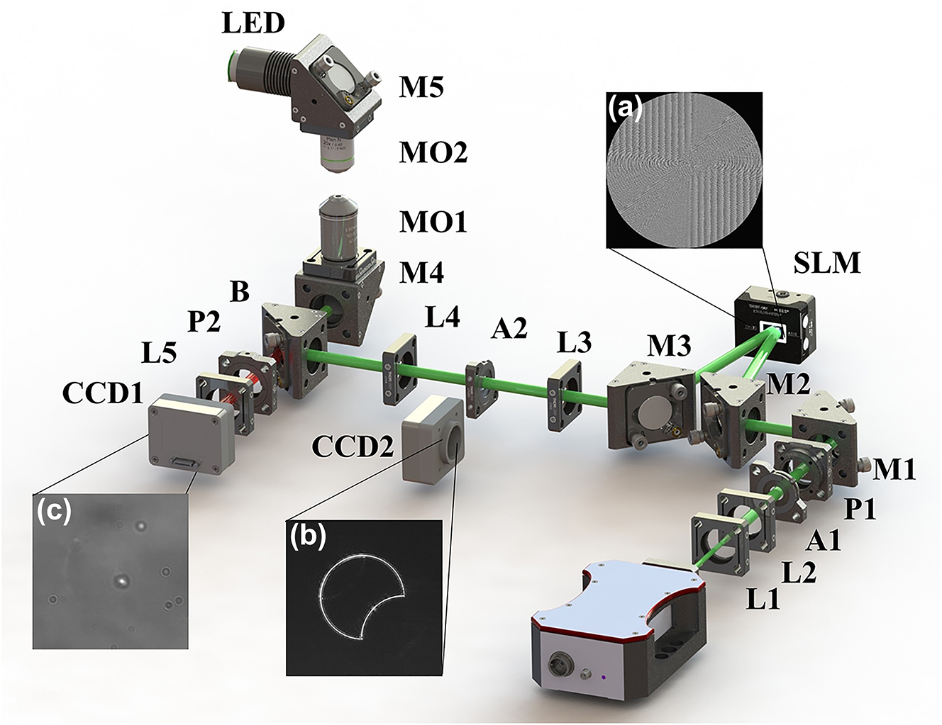 Figure 2:
Schematic of the experimental setup. L1, concave lens; L2–L5, convex lenses; P1 and P2, polarizers; A1 and A2, apertures; SLM, spatial light modulator; M1–M5, mirrors; CCD1 and CCD2, charge-coupled devices; MO1 and MO2, microscopic objectives; LED, backlighting source; B, band-pass filter. (a) Phase mask diagram, (b) beam intensity before tightly focusing, and (c) particle manipulation diagram.