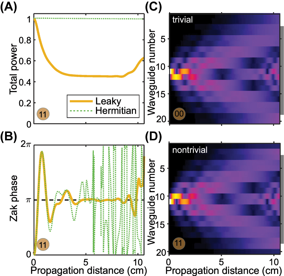 Figure 2: 
Propagation dynamics. (A, B) Evolution characteristics of the field in the main array in the lattice with fixed parameters obtained in the TBM of the nontrivial SSH array with (gold curves) and without (green curves) leaky channels. The Zak phase at 4 cm < z < 9 cm converges to the quantised π value, provided N
env = 14 elements in leaky channels. (C, D) Field evolution in N elements of the main array assembled in a trivial (C) and nontrivial (D) configuration with fixed parameters of the lattice. The gray line on the right side marks the area of N

c
 central waveguides, the intensity of which is fed to the input of the neural network.

