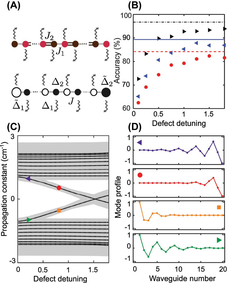 Figure 7: 
Comparing machine learning classification for topological and non-topological lattices. (A) Schematics of the topological (upper row) dimerized array and the non-topological (lower row) dimer lattice with defect potentials 






Δ

̃



1,2




${\tilde {{\Delta}}}_{1,2}$



 at the edges. (B) The accuracy of the neural network trained for the non-topological case for different values of the edge defect detuning q
1, introduced as 






Δ

̃



1,2


=


Δ


1,2



(

1
−


q


1



)



${\tilde {{\Delta}}}_{1,2}={{\Delta}}_{1,2}\left(1-{q}_{1}\right)$



, and different propagation distances L = 7.6 cm (red dots), L = 8.6 cm (blue left-facing triangles), L = 10.6 cm (black right-facing triangles). For comparison, the colored horizontal lines depict the accuracy in the topological case for the corresponding L. (C) The band structure of the finite non-topological lattice depending on the defect detuning, at the fixed number of elements within the main array N = 22. The shading shows bands for all possible coupling coefficients, J, and detunings, Δ1 = −Δ2, that were utilized to generate the datasets. (D) Profiles of the modes bound to the ends of the non-topological lattice. Colors and shapes of the markers in (C) in the representative spectral positions correspond to the profiles in (D).
