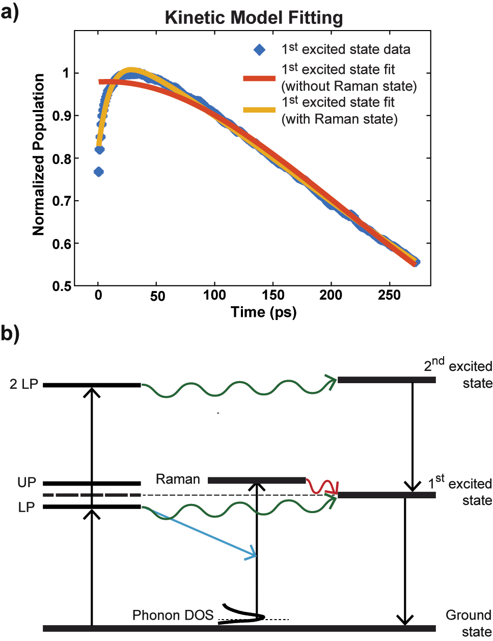 Figure 2:
Kinetic fitting results of the dark mode 1st excited state dynamics and the proposed mechanism. (a) The dynamics fitting with and without the Raman pathway. (b) The proposed energy relaxation pathway for the W(CO)6 polariton system. The pump excites the LP state which relaxes into the first and second excited state directly (green arrows), or scatters with the solvent phonons to excite the Raman mode (E
g
) (blue arrow). The E
g
mode then relaxes/equilibrates with D
1 (red arrow), following decaying to ground states.