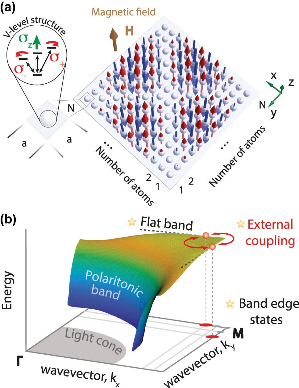 Figure 1: 
Schematic of the subradiant states formation in a regular planar atomic array. (a) A two-dimensional finite square regular lattice of N × N atoms with σ

z
 transition, separated by distance a. The distribution of the highly non-radiative mode of B
2 symmetry is shown with arrows. (b) Polaritonic band diagram of the infinite dipolar lattice. The main mechanisms responsible for the formation of non-radiative states are shown with stars.
