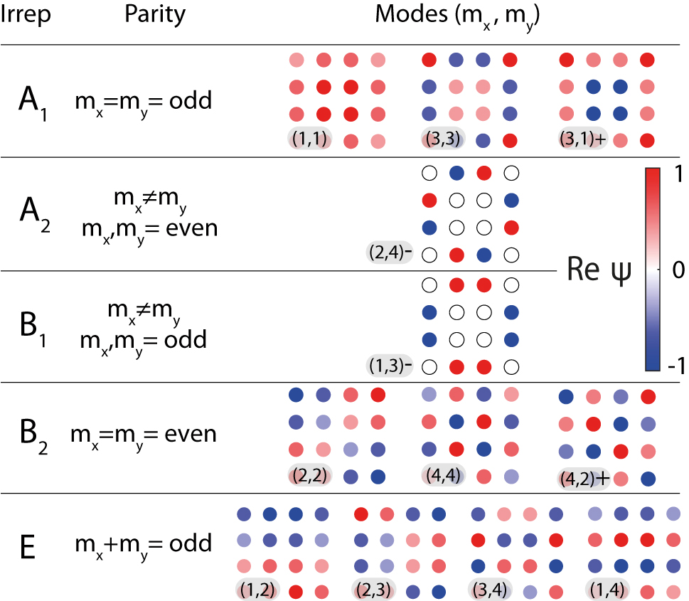 Figure 2: 
Symmetry classification of the basis functions 




ψ



(



m


x


,


m


y



)





${\psi }^{\left({m}_{x},{m}_{y}\right)}$



 for a finite square lattice. Classification is based on the irreducible representations and normalized quasi-wavenumbers m

x
 and m

y
 (see Eq. (2)). Wavefunctions are plotted for the case of 4 × 4 lattice, color shows real part of the wavefunction amplitude at each lattice site.

