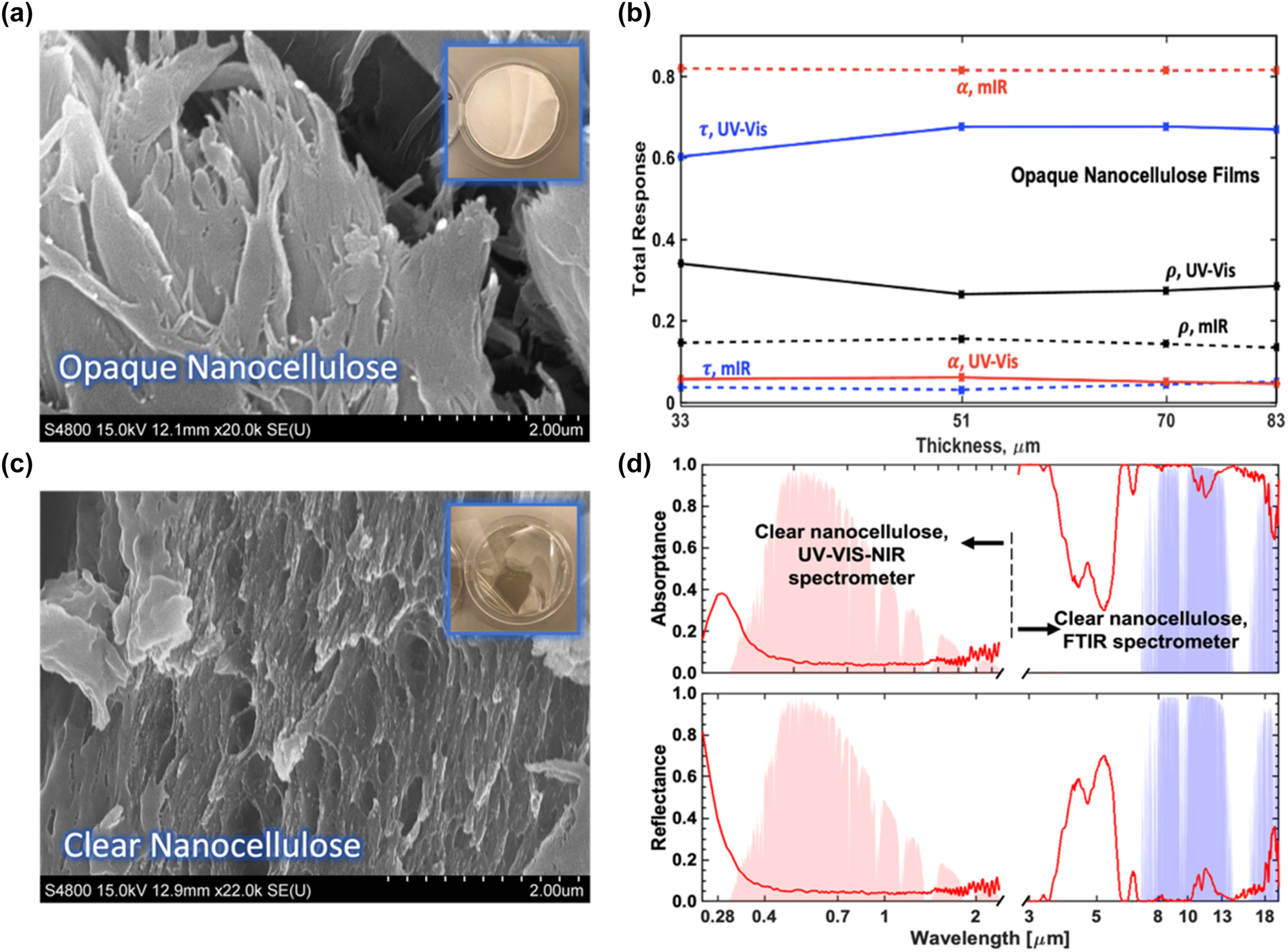 Figure 1:
SEM and optical characterization of pure nanocellulose samples. (a) SEM image of fibers of a pure nanocellulose semi-transparent film; top right corner shows the photo of sample. (b) Total solar and sky window reflectance, transmittance, and absorptance compared as a function of semi-transparent pure nanocellulose film thickness. Thicknesses of films under test are 33, 51, 70, and 83 μm. Example full spectra is shown in Figure S1a and b of supplementary text. (c) SEM image of fibers in pure nanocellulose transparent film; top right corner shows the photo of sample. (d) Absorptance and reflectance spectra from 0.25 to 20 μm wavelengths for clear pure nanocellulose film of 35 μm thickness. The values for wavelengths from 0.25 to 2.5 μm were measured using a UV–Vis-NIR spectrometer, while those for wavelengths from 3 to 20 μm were measured using an FT-IR spectrometer. The same sample was used for all measurements.
