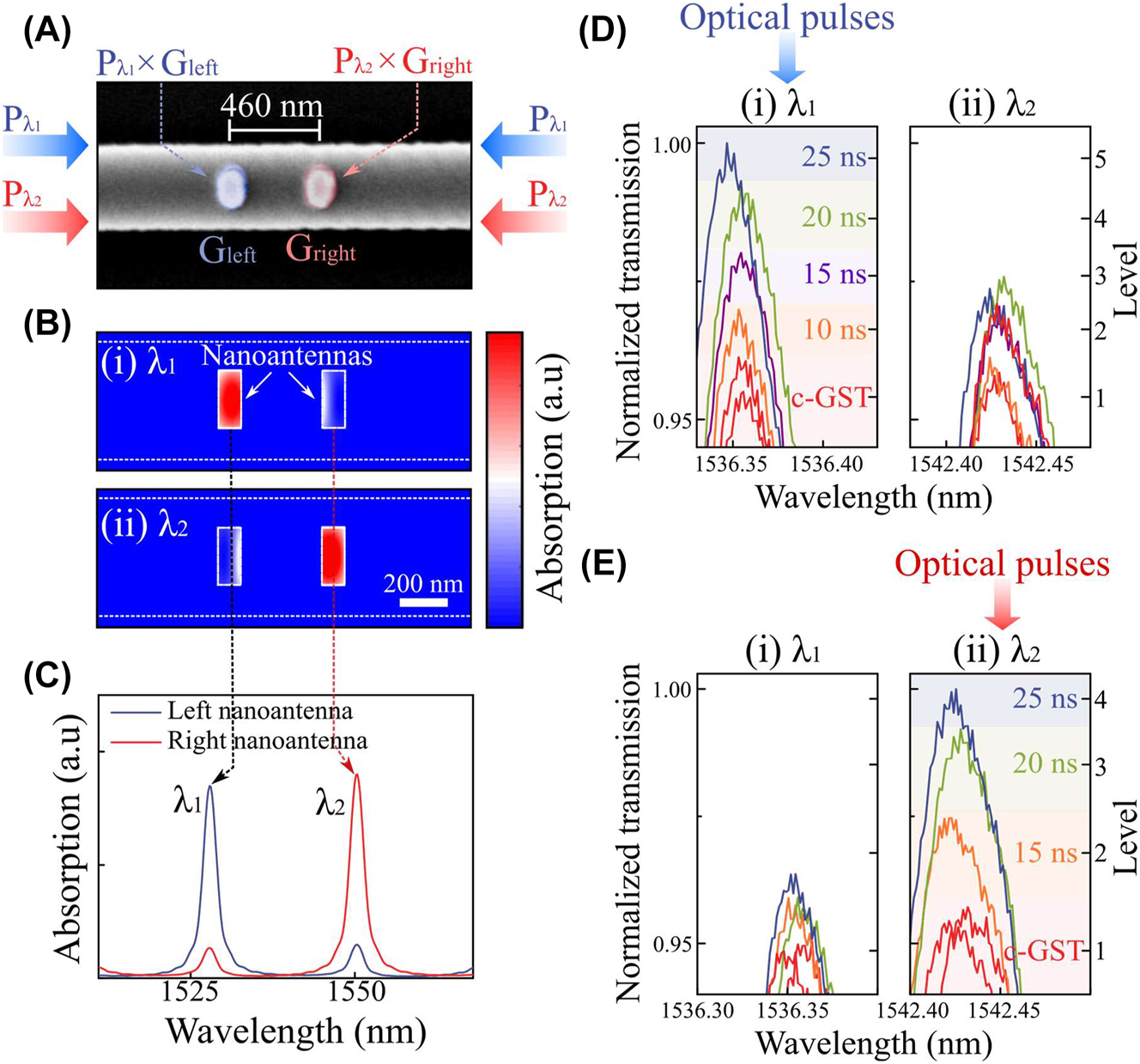 Figure 4:
Reconfigurable multi-spectral filter in a single element. (A) Colorized SEM image of an enlarged view of the active nanoantennas (GST/Au) on a waveguide for PSR system. The separation between two nanoantennas is 460 nm. Wavelength-selective input signals (P
λ1 and P
λ2) are independently modulated by weighting coefficients of each nanoantenna (G
left and G
right). (B) Absorption profile of the PSR system with double nanoantennas, where the odd-mode (top, 1528 nm (λ
1)) couples with the left nanoantenna and the even-mode (bottom, 1550 nm (λ
2)) couples with the right nanoantenna. (C) Absorption spectra at each nanoantenna showing the wavelength-selective absorption contrast. (D and E) Enlarged transmission spectra of intensity-tunable multi-spectral filter at the odd-mode (left, 1536 nm (λ
1)) and the even-mode (right, 1542 nm (λ
2)), respectively. Reset pulses of 220 pJ (10 ns) with varying the pulse duration from 10 to 25 ns are used to provide wavelength-selective multi-levels under (D) odd-mode and (E) even-mode illumination. The piecewise set pulse of (220 pJ for 10 ns + 1.8 nJ for 300 ns with repetition of 50 times) is used for initializing the transmission level.