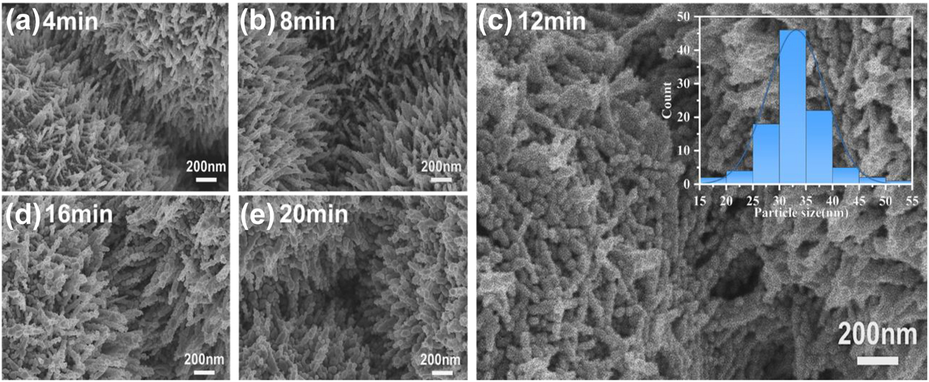 Figure 3: 
SEM images of Ag NPs with deposition time of (a) 4 min, (b) 8 min, (c) 12 min, (d) 16 min, and (e) 20 min on the surface of ZnO nanorods respectively. The inset of (c) is normal distribution of the diameter of Ag NPs with 12 min deposition time.
