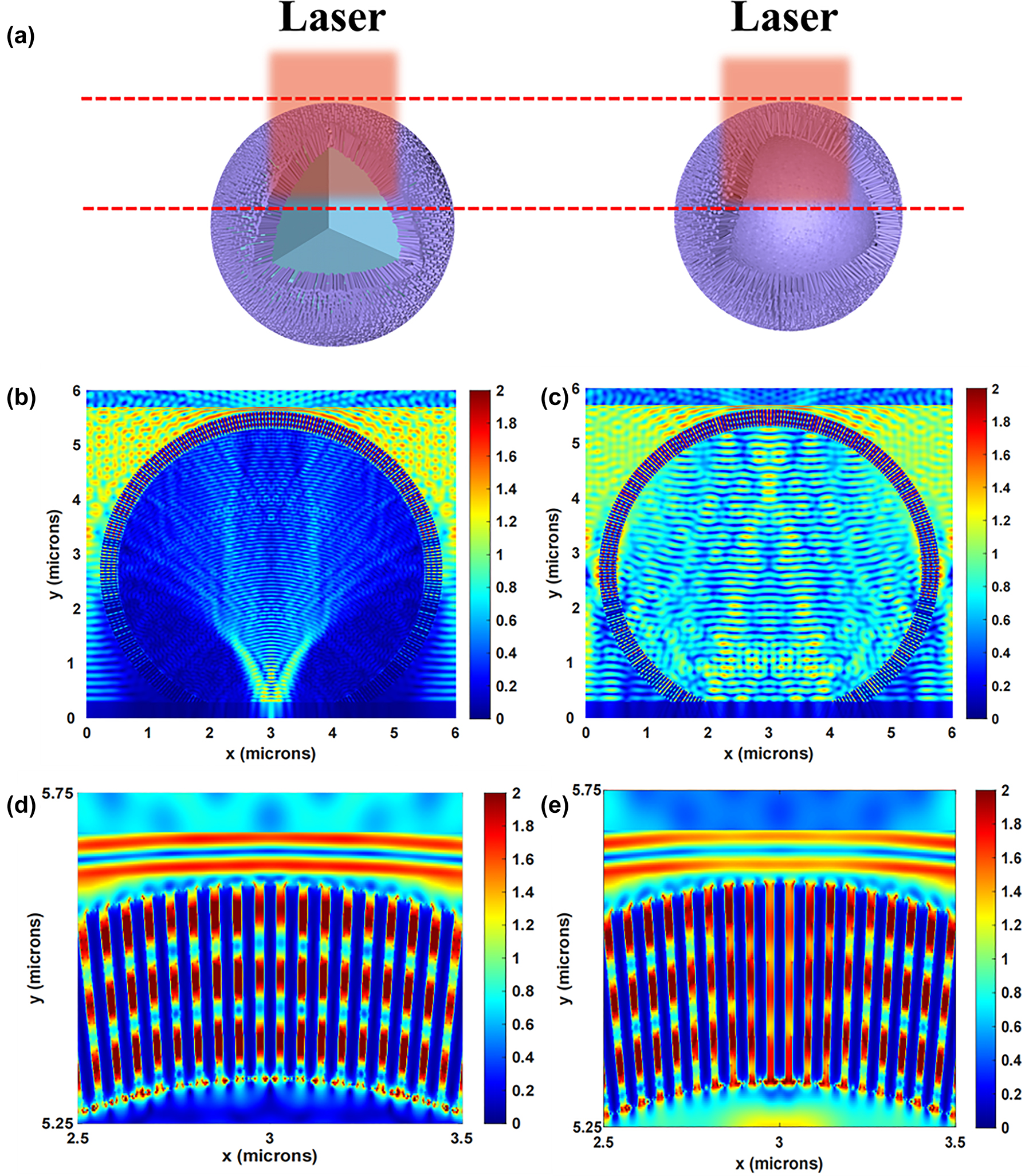 Figure 7: 
FDTD simulation of 3D ZnO SS structure and HS structure. (a) The schematic comparison between 3D ZnO SS structure and HS structure. Calculated the EM field distribution of (b) 3D urchin-like ZnO SS structure and (c) 3D urchin-like ZnO HS structure by FDTD method under 532 nm laser illumination. (d) and (e) Correspond to the magnifying EM field distribution from (b) and (c), respectively.
