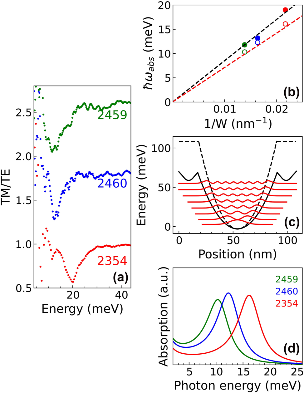Figure 4: 
 Terahertz spectroscopy measurements. (a) Dichroic transmission spectra acquired at 100 K of samples 2459, 2460, and 2354 having an electron sheet density ∼3 × 1011 cm−2 and well width 72 nm, 61 nm, and 46 nm, respectively. (b) Experimental (full circles) and theoretical (open circles) absorption energies as a function of W
−1. Black dashed line represents the linear fit of the experimental data and the red dashed line the parabolic bare energy behavior ℏω

0
(W) = ℏ(8D

0
/m

z
*)1/2/W. (c) Potential V(z) (continuous black line) for sample 2459 along the growth direction; energy levels E

j
 and squared wavefunctions of the quantized states are also reported; the potential calculated for an undoped PQWs with the same shape is displayed as a dashed black line. The two potential curves have been aligned in energy at their minimum: (d) Theoretical absorption spectra for the samples in panel (a).
