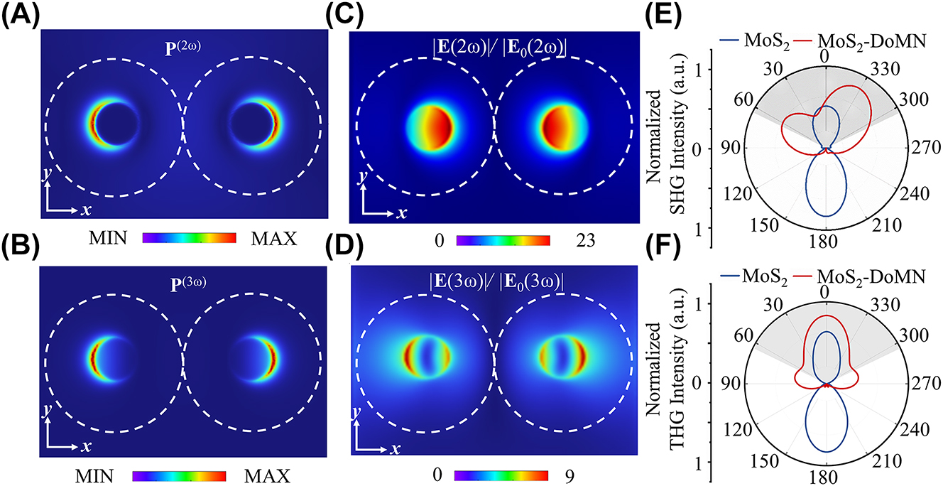 Figure 4: 
Nonlinear polarization distributions at (A) SH and (B) TH frequencies. Field enhancement maps of the MoS2-DoMN at the (C) SH and (D) TH frequencies. Simulated far-field radiation patterns of (E) SHG and (F) THG from the MoS2-DoMN (red curves) and MoS2 (blue curves) in the xz-plane. The gray area indicates the collection cone of the objective.
