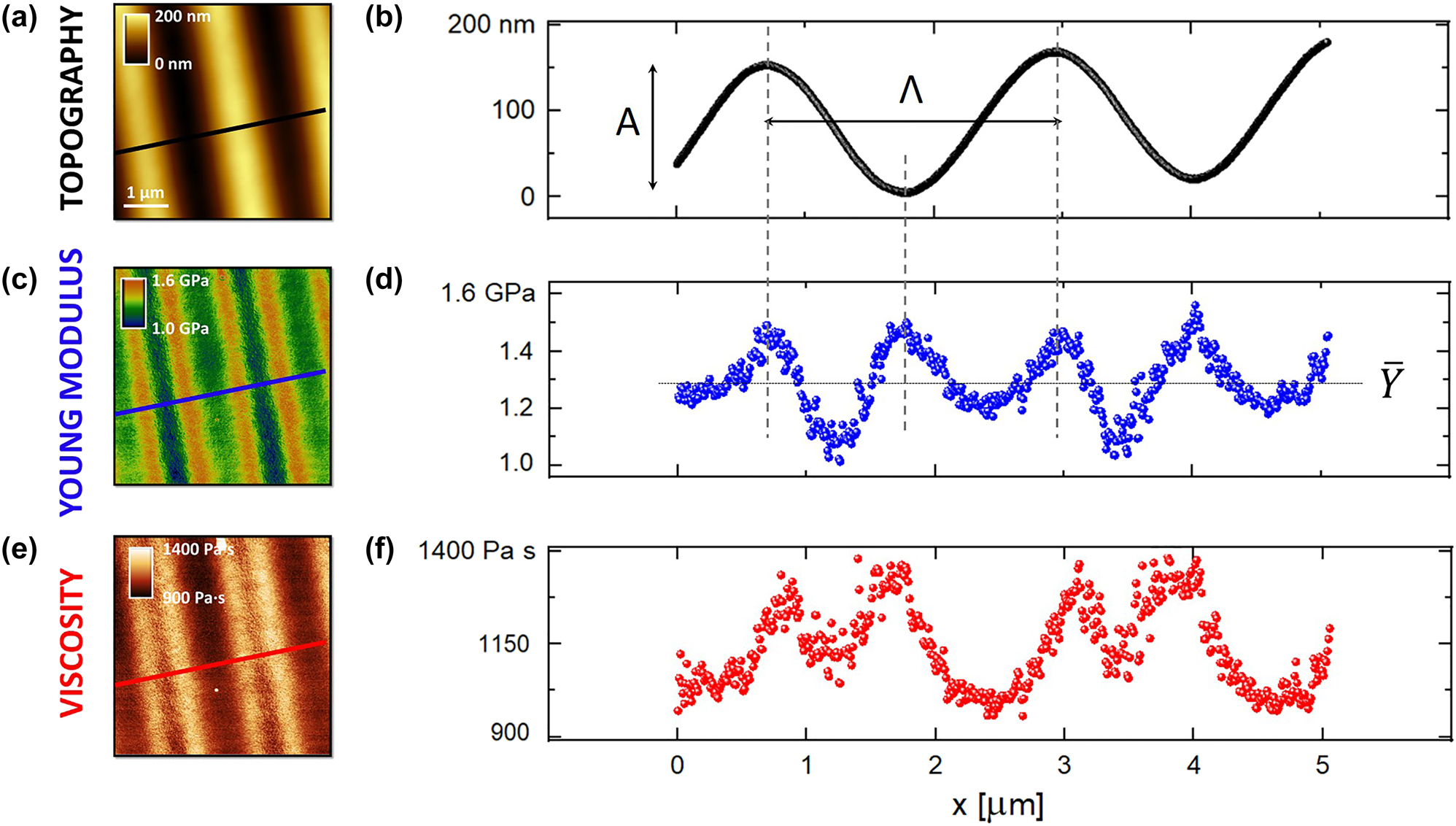 Figure 2: 
Bimodal AFM nanomechanical characterization of the azopolymer sample after irradiation. (a) 5 μm × 5 μm image reporting the topography of the sample. (b) Topography profile correspondent to the black line of Figure 2a. -A- corresponds to the peak-to-peak while Λ to the periodicity. (c) Young modulus map of the azopolymer sample in the same region of panel (a) and (d) elastic modulus profile related to the blue line of Figure 2c where average value (





Y

̄




$\bar{Y}$



) and peak-to-peak (ΔY) are shown. (e) Viscosity map of the azopolymer sample in the same region of panel (a) and (c). (f) Viscosity profile correspondent to the red line reported in Figure 2e. AFM parameters: k
1 = 4.9 N m−1, Q
1 = 219, f
1 = 72.8 kHz, k
2 = 254.2 N m−1, Q
2 = 473, f
2 = 464.8 kHz, A
1 = 62.0 nm, A
01 = 122.2 nm, A
02 = 2.3 nm, υ
s = 0.36, R = 59 nm.
