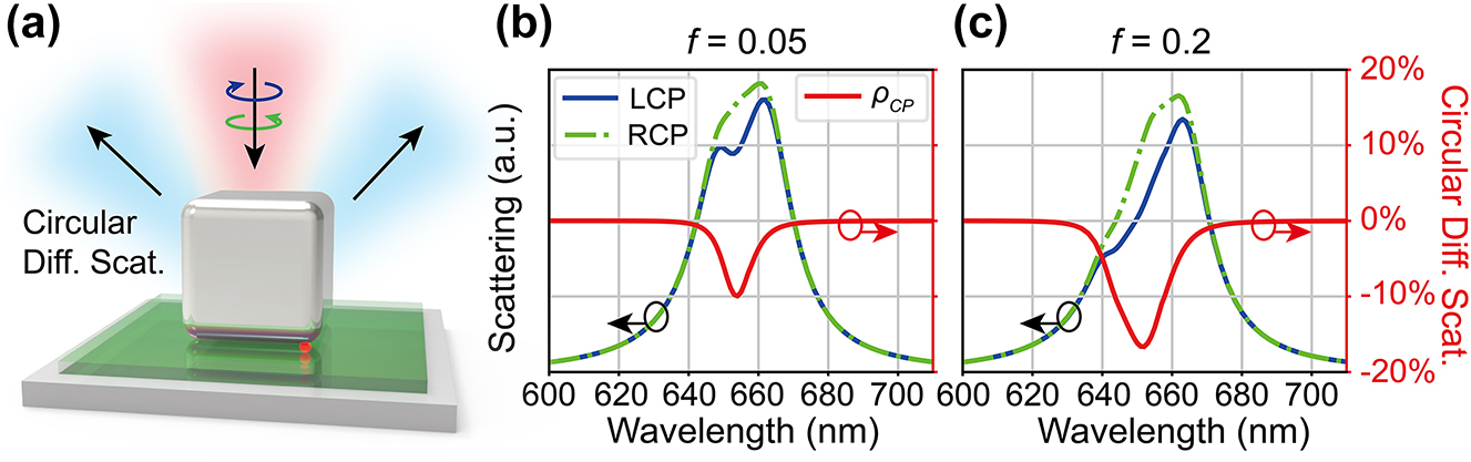Figure 2: 
Modulation of CDS by the plasmon-emitter coupling predicted by numerical simulations. (a) Schematic of the CDS of the NBoM-emitter hybrid system. (b) and (c) simulated scattering spectra under LCP/RCP excitations (blue/green lines) and CDS spectra (red lines) for the NBoM-emitter hybrid system for (b) emitter oscillator strength f = 0.05 and (c) f = 0.2.
