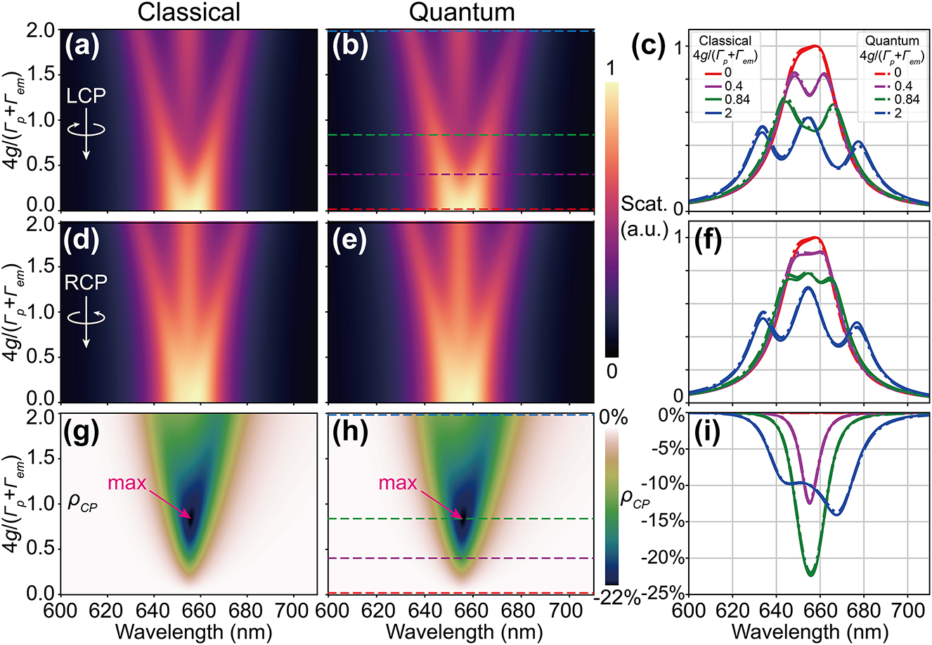 Figure 3: 
Modulation of CDS by the plasmon-emitter coupling predicted by classical and quantum models. (a)–(f) scattering mapping with respect to wavelength and coupling strength for LCP and RCP excitations based on chiral-COM and chiral-JCM. (c) and (f) show characteristic scattering spectra for four different coupling strengths. (g)–(i) CDS predicted by different models. The pink arrows in (g) and (h) indicate maximum CDS magnitudes.
