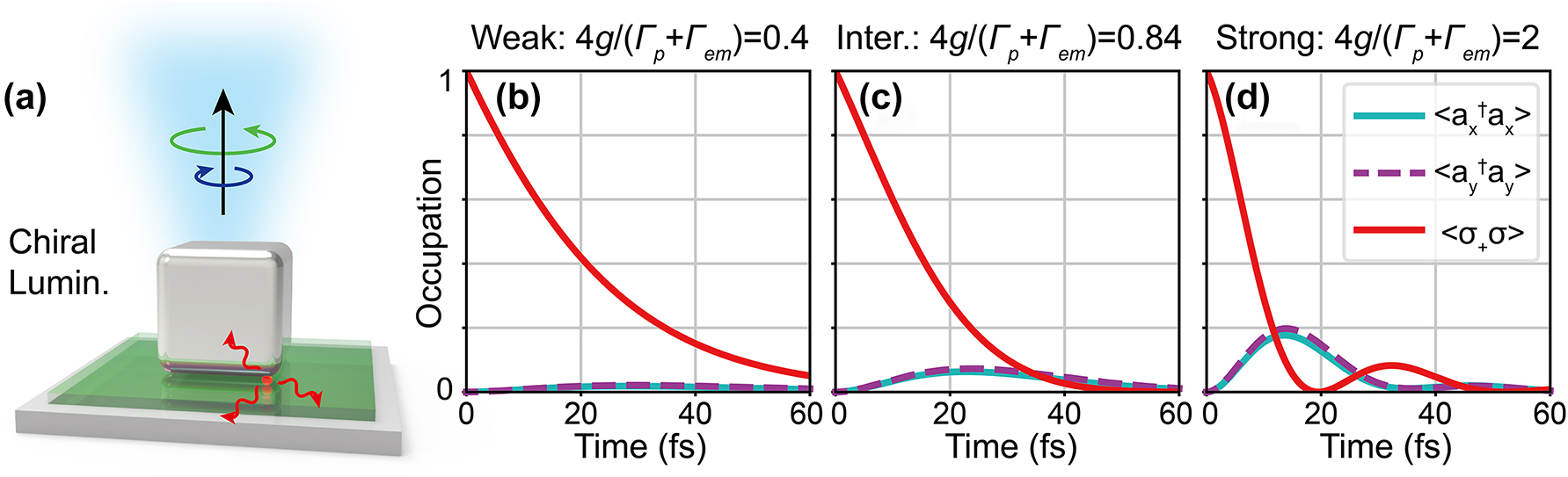 Figure 5: 
Emitter damping for different plasmon-emitter coupling strengths. (a) Schematic of the emitter decay and chiral luminescence. (b)–(d) Evolution of x, y plasmon and emitter occupation with an initial excited emitter for (b) weak, (c) intermediate, and (d) strong coupling calculated based on chiral-JCM.
