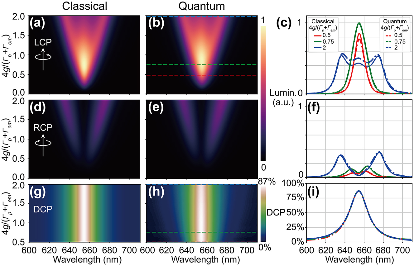 Figure 6: 
Modulation of luminescence DCP by the plasmon-emitter coupling predicted by classical and quantum models. (a)–(f) Luminescence mapping with respect to wavelength and coupling strength for LCP and RCP emissions based on chiral-COM and chiral-JCM. (c) and (f) show characteristic luminescence spectra for three different coupling strengths. (g)–(i) Luminescence DCP predicted by different models.
