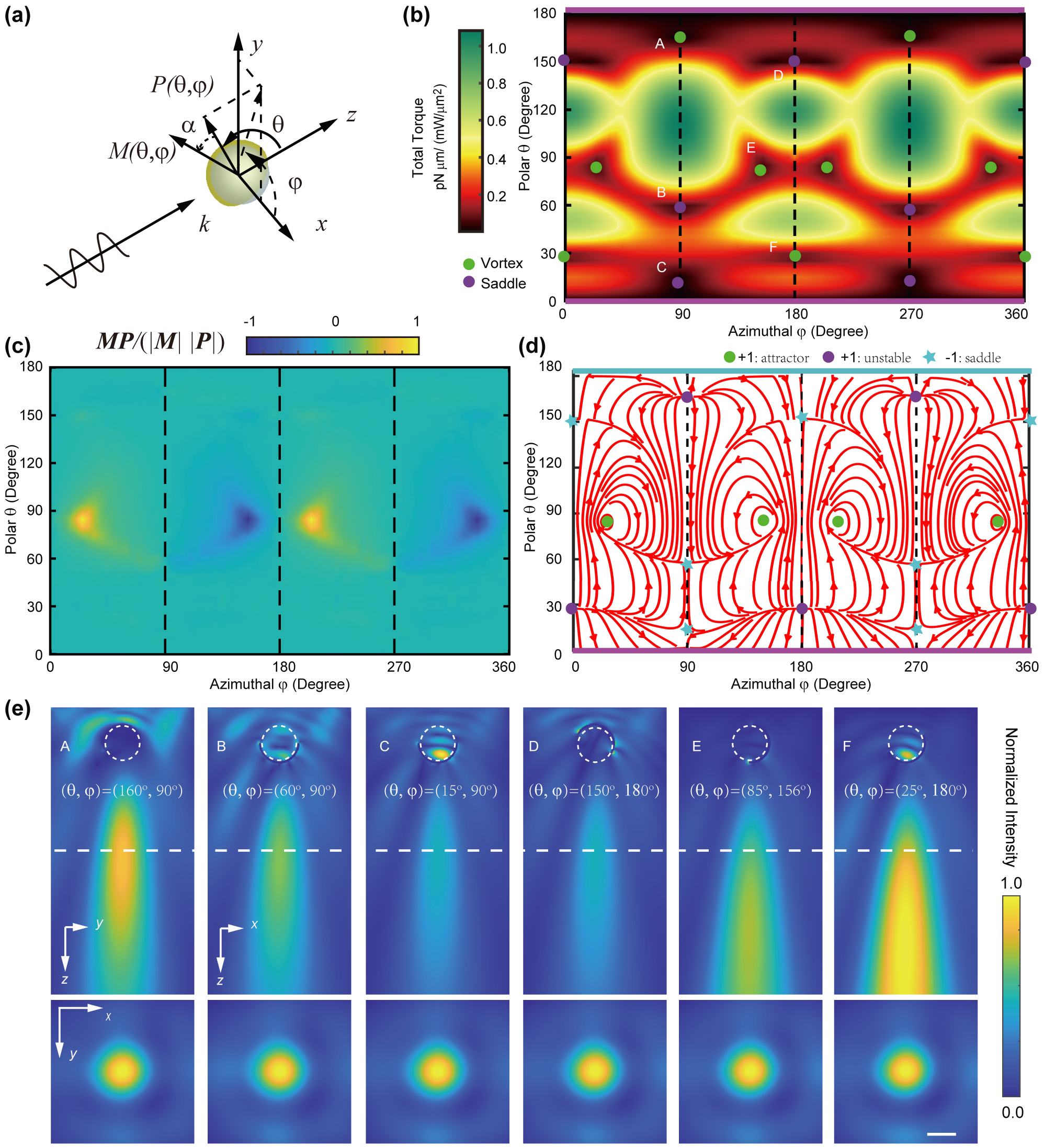 Figure 1: 
Optical torque on Janus particle. (a) A linearly polarized plane wave 




E


0





x

̂




${E}_{0}\hat{x}$



 exerts optical force and torque on a Janus particle. The Janus cap orientation is completely determined by angles θ, φ with respect to light source. (b) The magnitude of torque and (c) the cosine of the angle between the torque and the cap, for all possible orientations at light wavelength of λ = 1550 nm. (d) Stream lines of the 
N
 = 
M
 × 
P
 vector govern the evolution of the particle orientation. Rotational equilibria are the vortex centers at the vector field 
N
. (e) The sideview (upper row) and transverse (lower row) profiles of the PNJ for the orientations labeled in (b). The dashed line is 3 μm away from the particle center. Scale bar for all panels in (e) is 800 nm.
