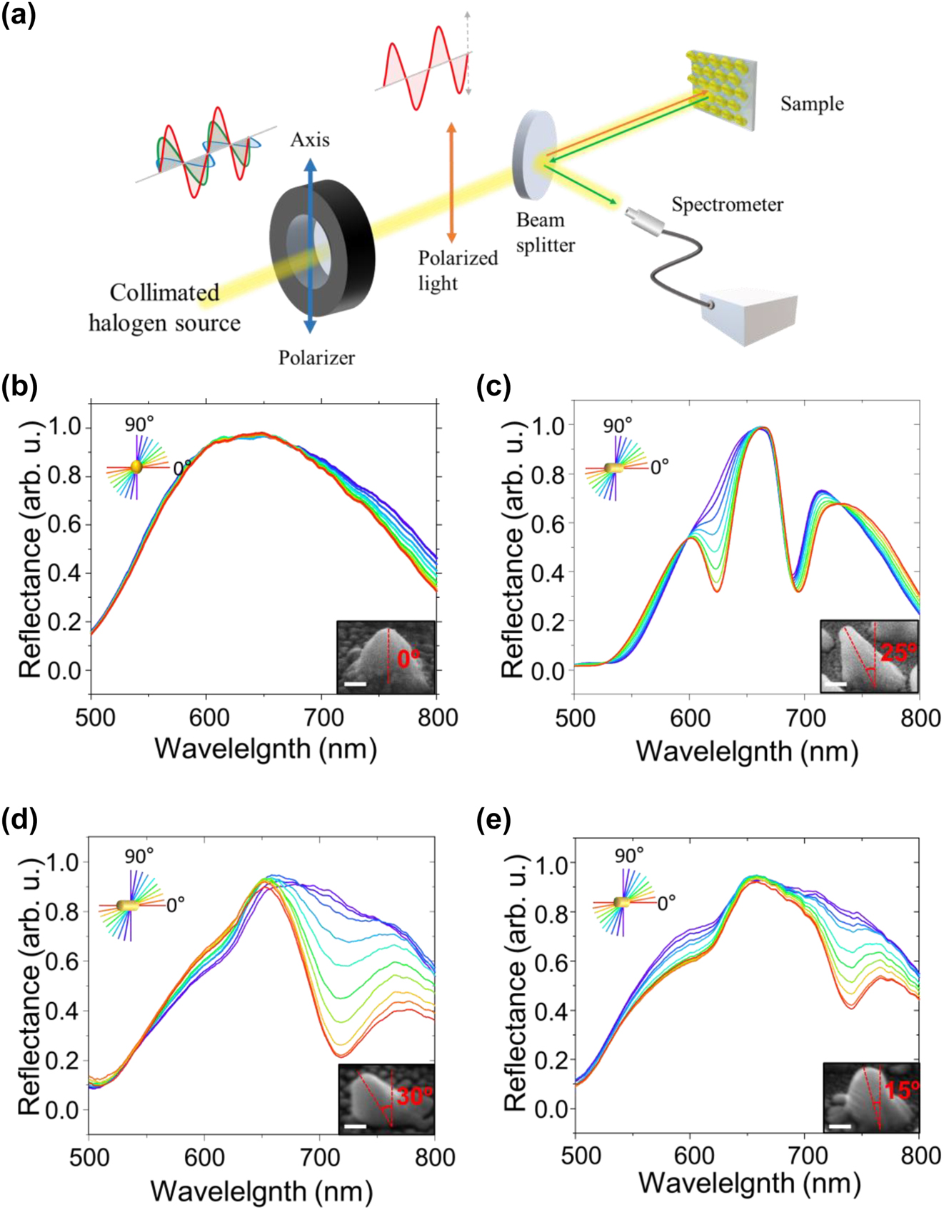 Figure 3: 
Optical characterization of the fabricated inclined nanostructure arrays. (a) Schematic diagram of the experimental setup. Polarization-resolved reflectance spectra of the 500-nm period gold nanostructure arrays with inclination angles of (b) 0°, (c) 25°, (d) 30° and (e) 15°. Insets show the side view of each sample with the inclination angle as a guide to the eye; the scale bar indicates 100 nm. A polarization axis parallel to the inclination direction is defined as 0°.
