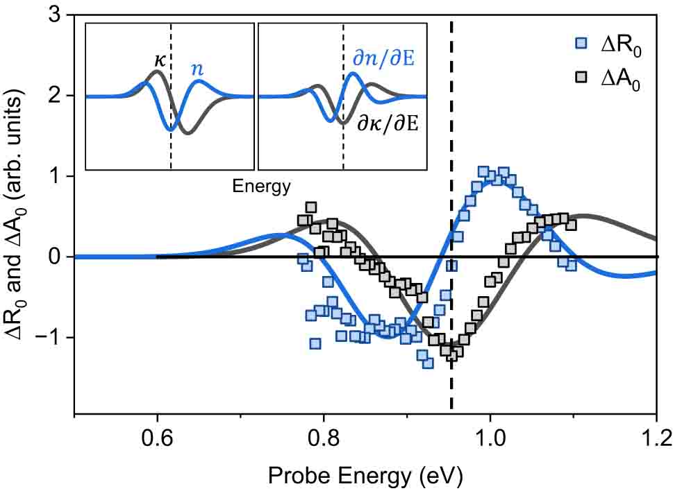 Figure 5: 
Probe energy-dependent amplitude of the interlayer vibration-induced reflectivity and absorption change, 


Δ


R


0




E




${\Delta }{R}_{0}\left(E\right)$



 and 


Δ


A


0




E




${\Delta }{A}_{0}\left(E\right)$



 with schematic ∂n
/
∂E and ∂κ
/
∂E guidelines. The inset schematic presents the changes of refractive index and derivatives dispersion at interband optical transition as indicated by vertical dashed lines.

