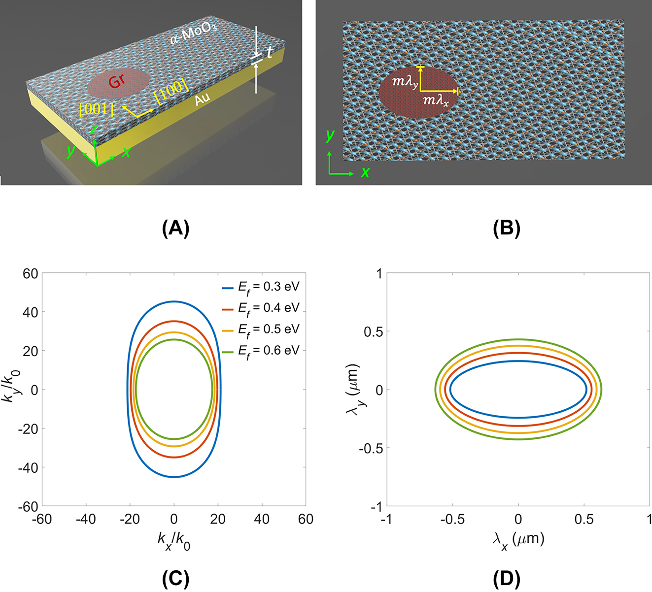 Figure 1: 
The proposed structure and its top view. (A) Illustration of the current structure, comprising a patterned graphene (Gr) layer on an α-MoO3 slab with thickness t situated on an Au substrate. The z-polarized electric dipole source is denoted as E

z
, whereas the principal axes of the α-MoO3 crystal are identified as [100] and [001]. (B) Top view of the structure, where m signifies a positive real number, and λ

x
 and λ

y
 represent the polariton wavelengths along the x and y-directions, respectively. The isofrequency contours (IFCs) and the associated geometric profiles of graphene. (C) Analytical IFCs for the air/graphene/α-MoO3/Au system at various E

f
 values at a fixed t of 150 nm for the α-MoO3 slab. (D) The accompanying geometric profiles of graphene in the scales of λ

x
 and λ

y
.
