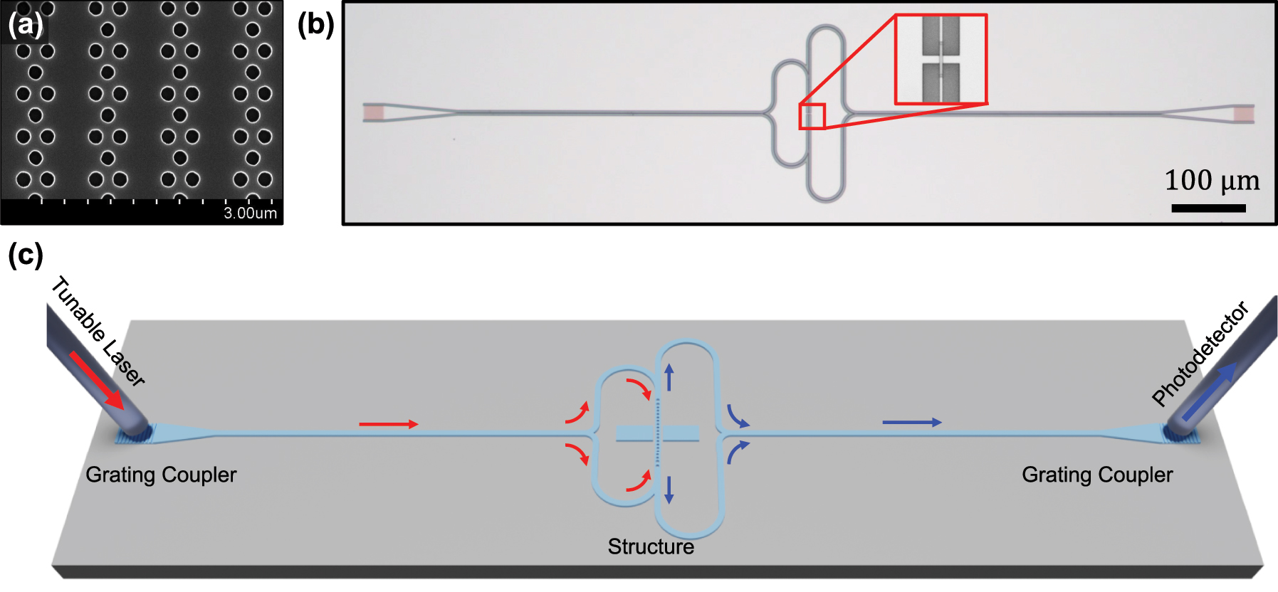 Figure 4: 
Experimental schematics of CPL in SOI. (a) SEM image of fully etched photonic crystal grating coupler. The grating coupler is optimized using an FEM simulation. (b) Microscopic image for the fabricated structure. Inset shows the magnified image of CPL, which comprises a resonator, coupler, and scatterer. (c) Schematics of the experiment. The light from tunable laser is coupled to the structure by using a grating coupler. Along the waveguide, light is transmitted to the structure. The reflected light is propagated to the output grating coupler and recorded at the photodetector.
