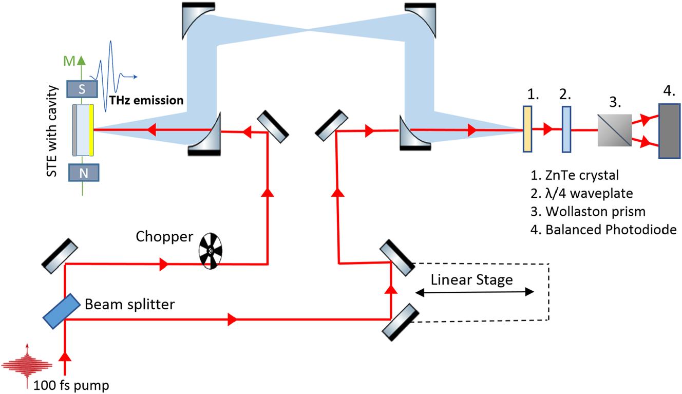 Figure 2: 
Scheme of terahertz time domain setup in reflection configuration where STE is excited with a femtosecond laser, generating a THz pulse that is detected using standard electro-optic sampling.
